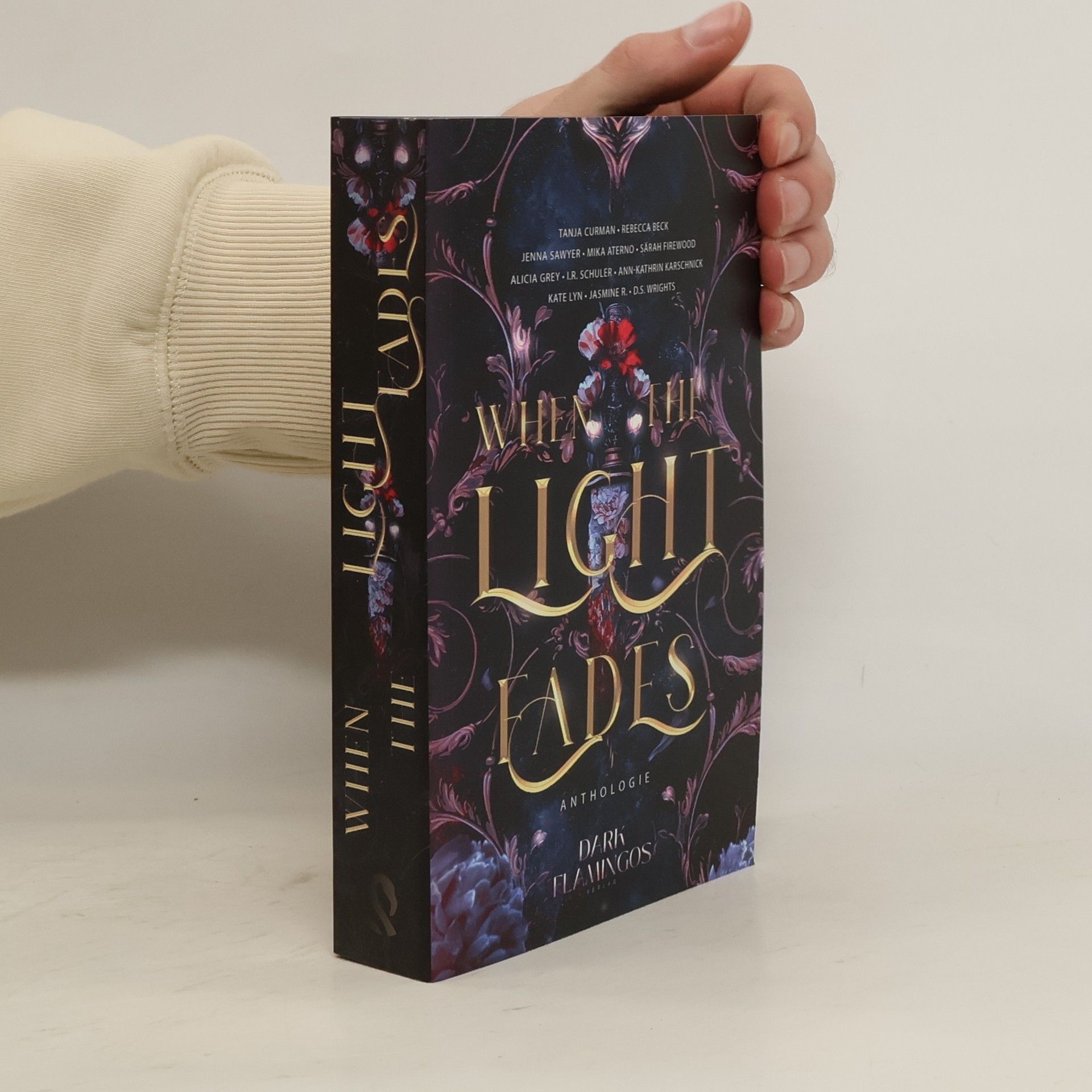 Tanja Curman When the Light Fades