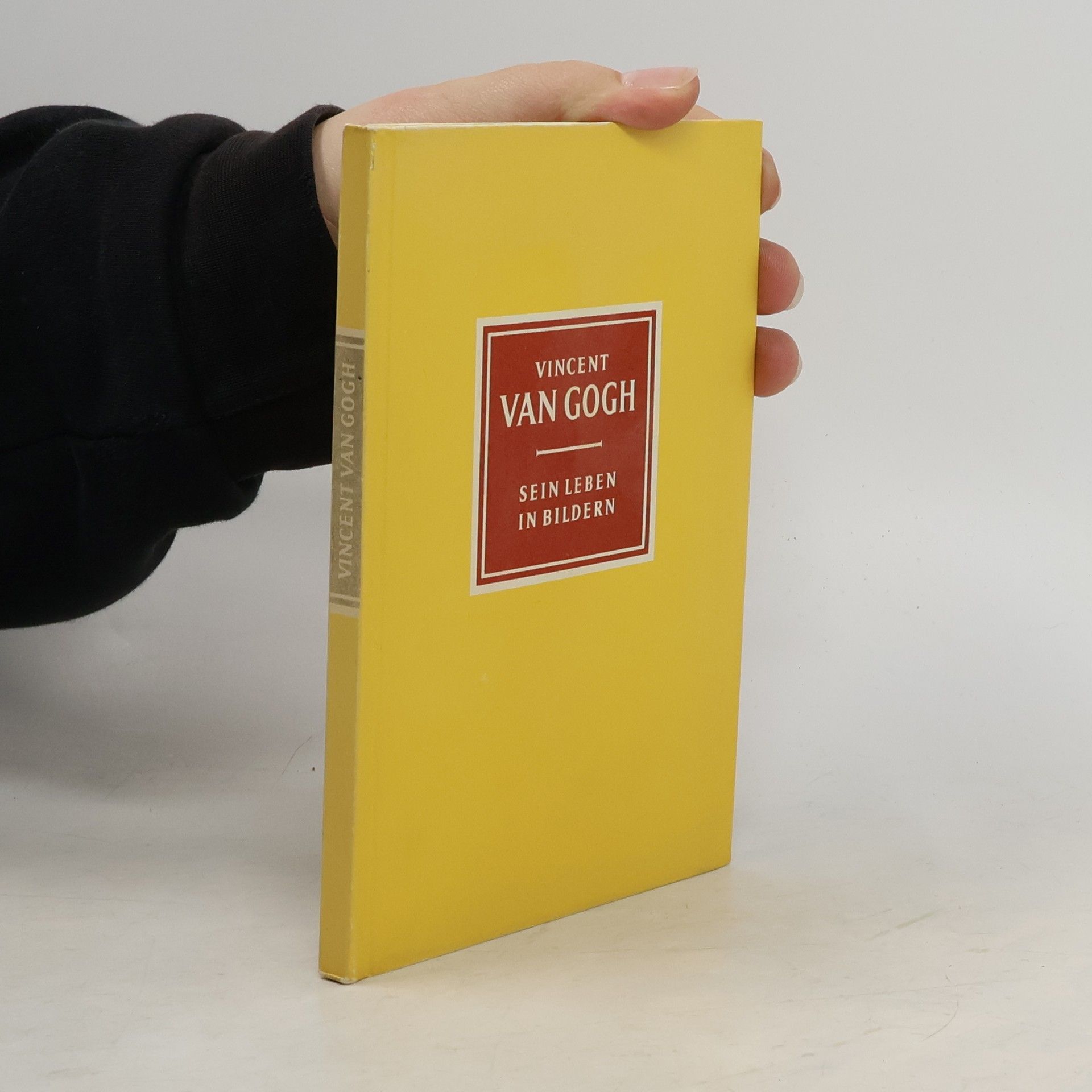 Various authors Vincent van Gogh. Sein Leben in Bildern