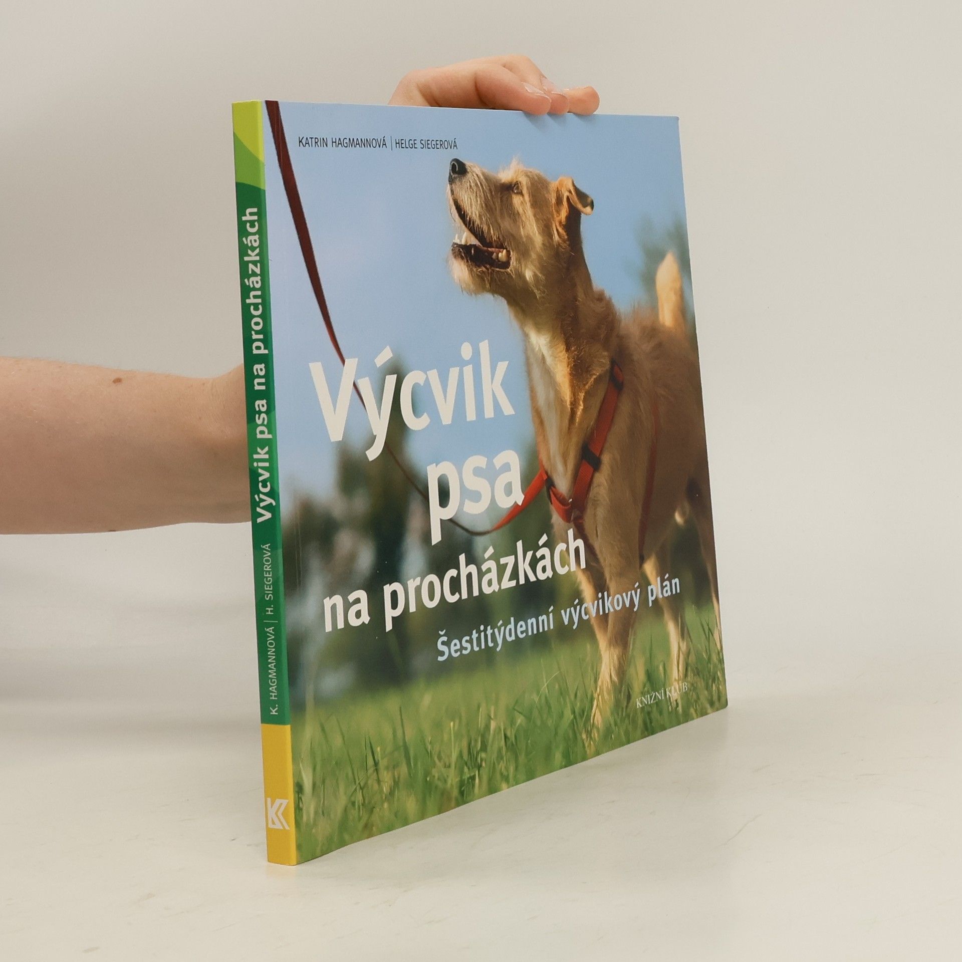 Výcvik psa na procházkách