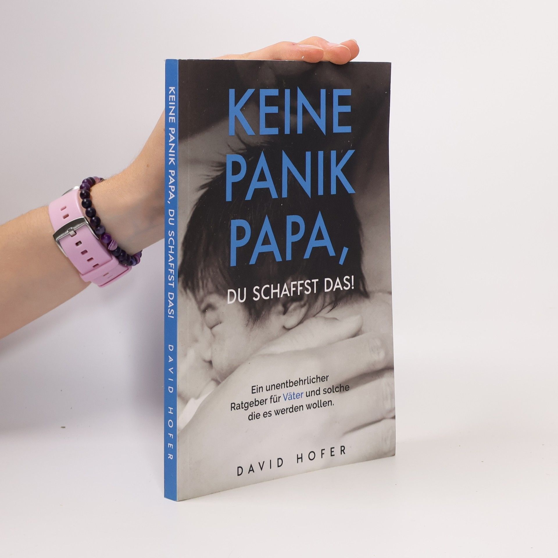 David Hofer Keine Panik Papa, du schaffst das! Ein unentbehrlicher Ratgeber für Väter und solche, die es werden wollen.
