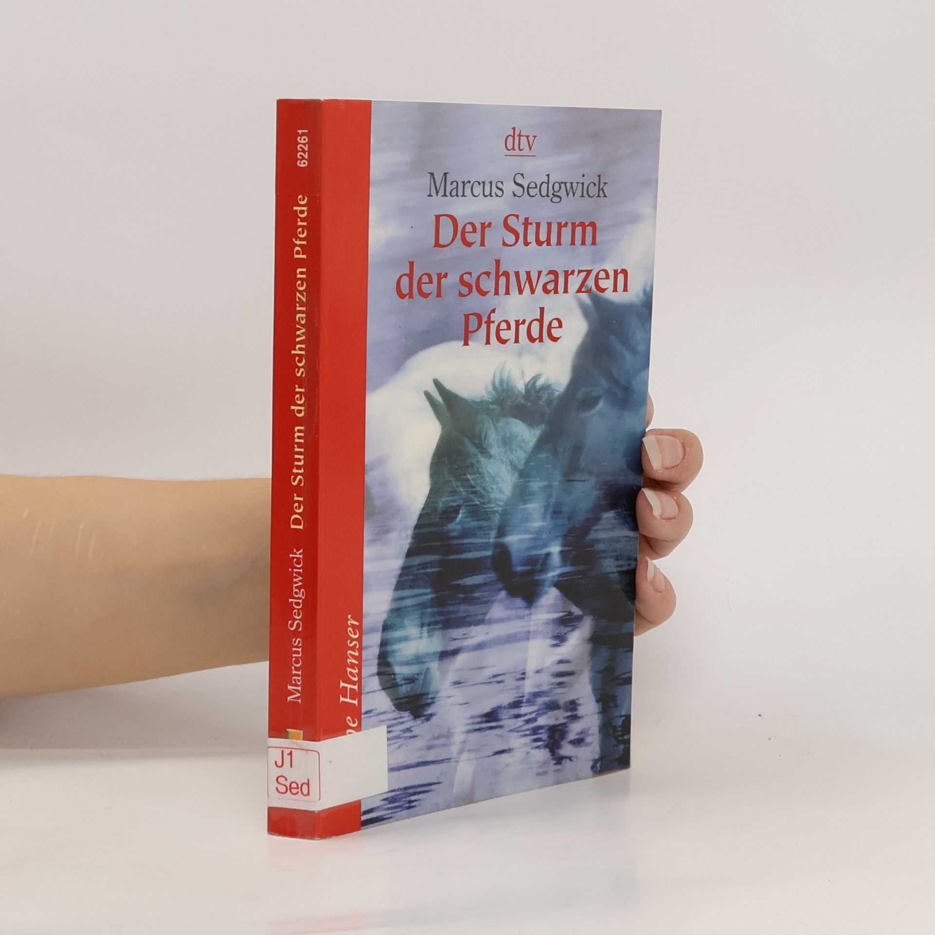 Marcus Sedgwick Der Sturm der schwarzen Pferde