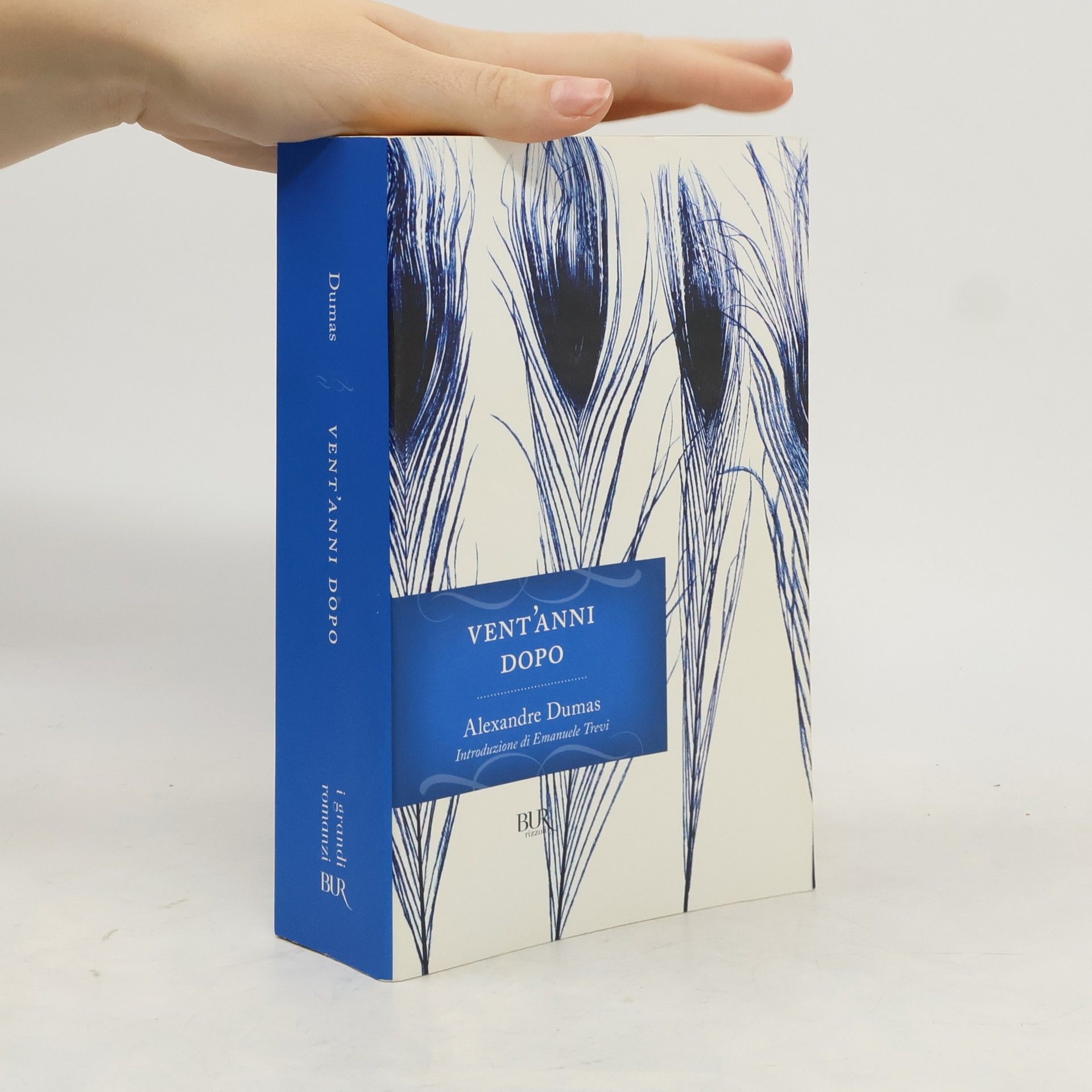 Alexandre Dumas I grandi romanzi: Vent'anni dopo