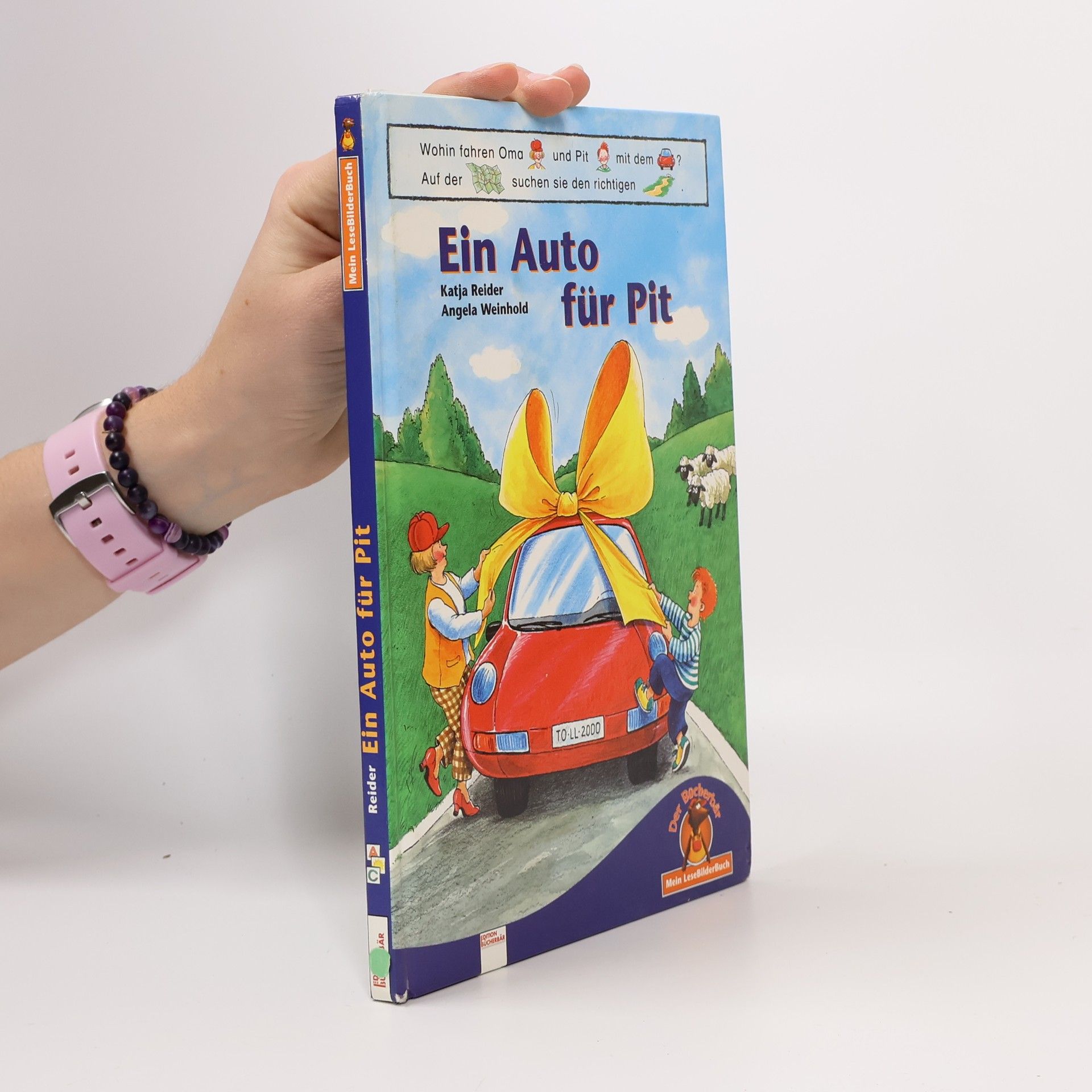 Katja Reider Ein Auto für Pit