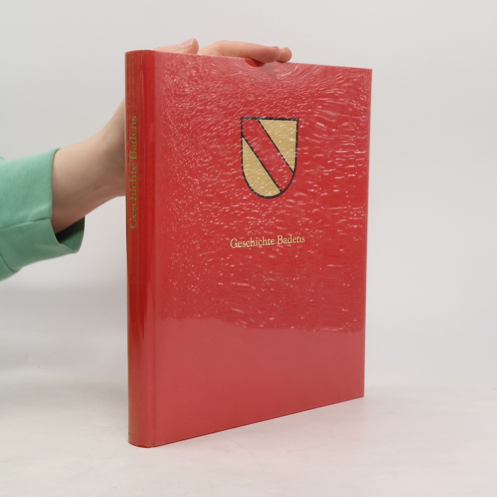 Collectif d'auteurs Geschichte Badens in Bildern 1100-1918