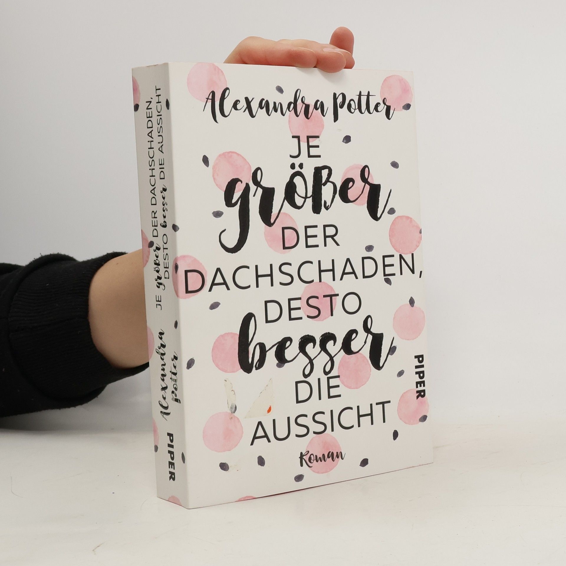 Alexandra Potter Je größer der Dachschaden, desto besser die Aussicht