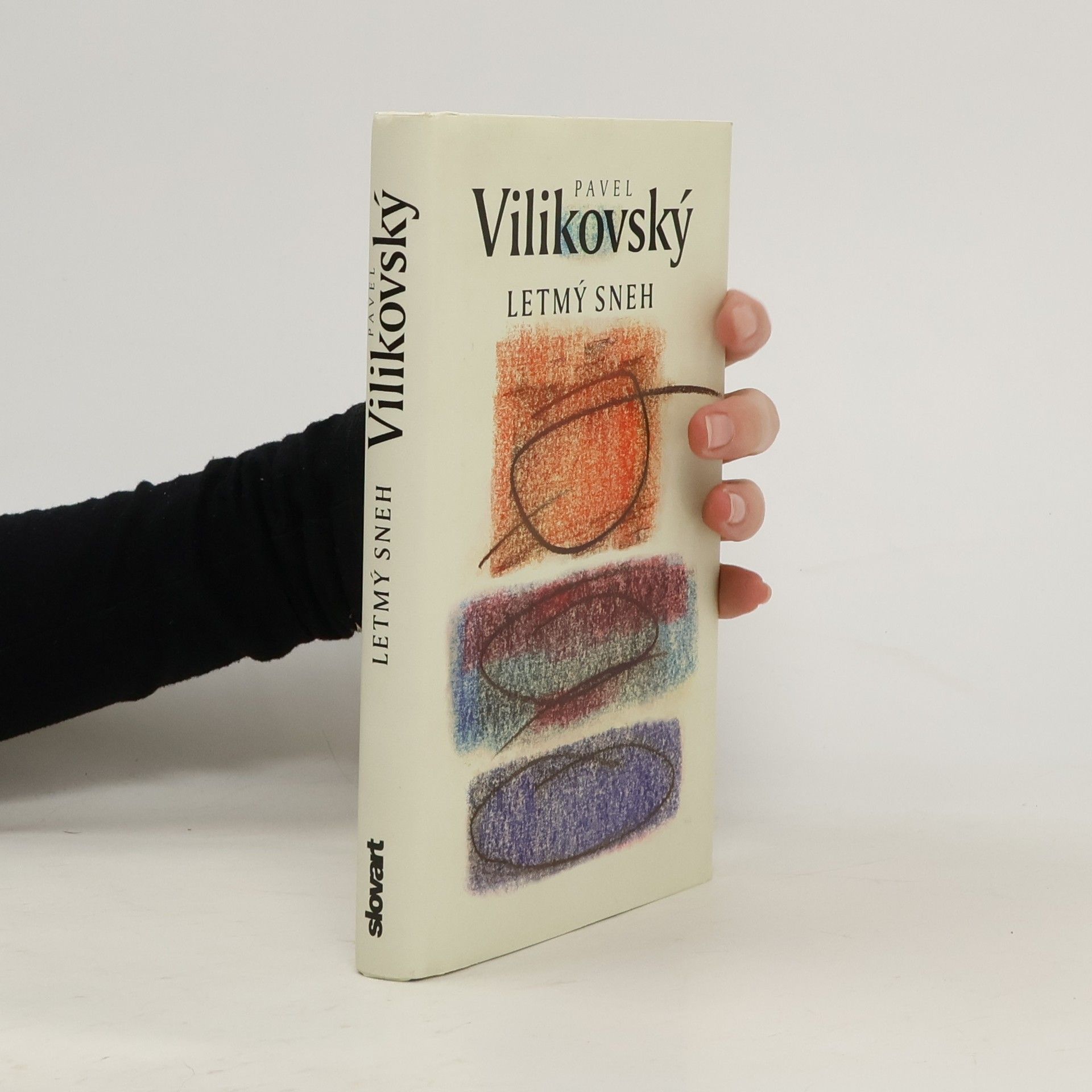 Pavel Vilikovský Letmý sneh