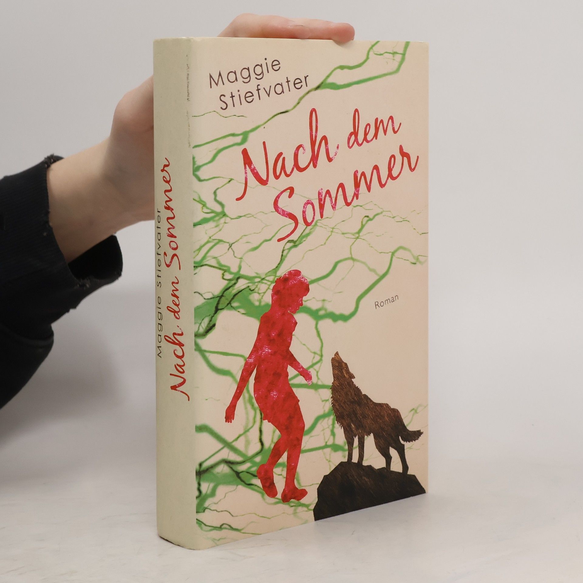 Maggie Stifvater Nachm dem Sommer
