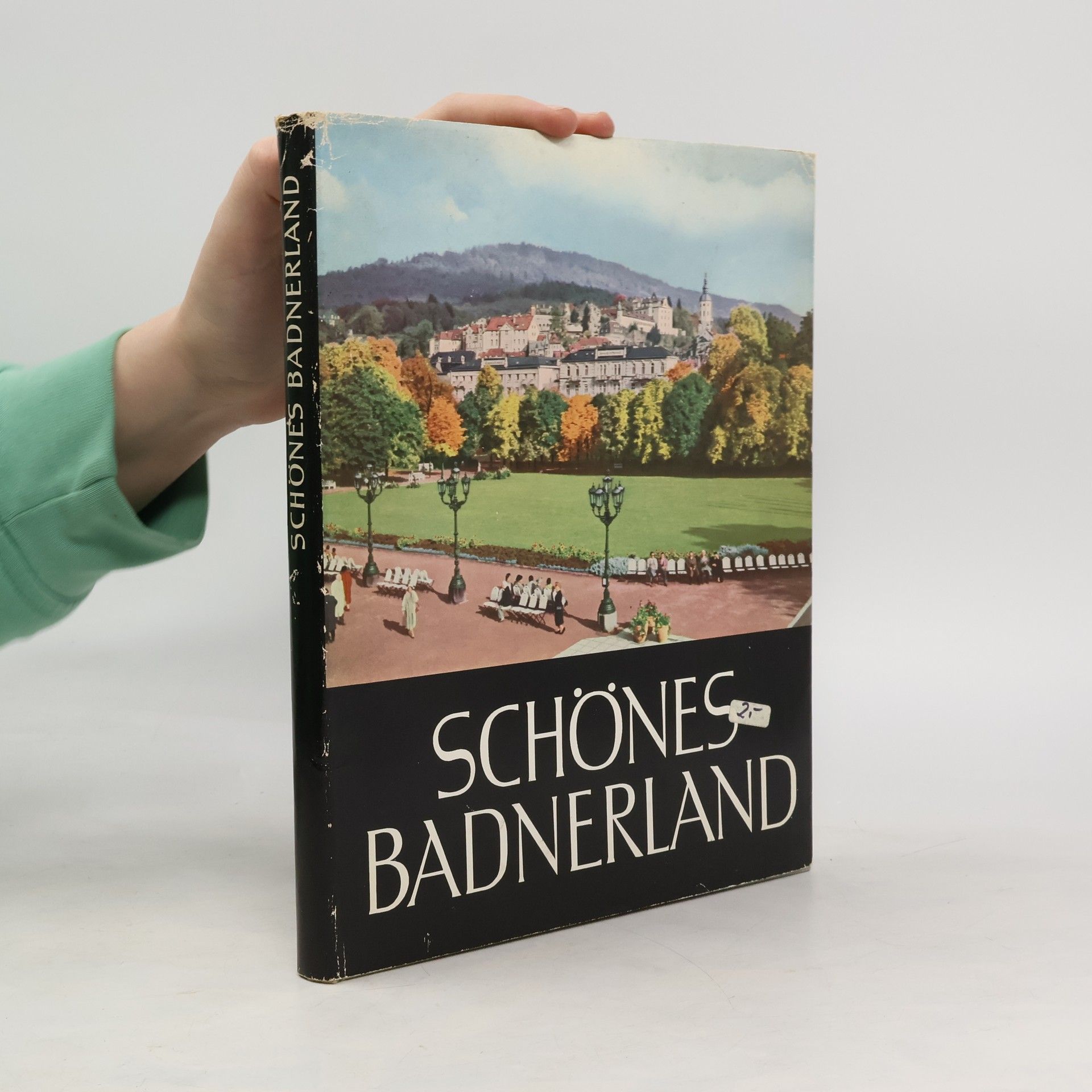 kolektiv Schönes Badnerland