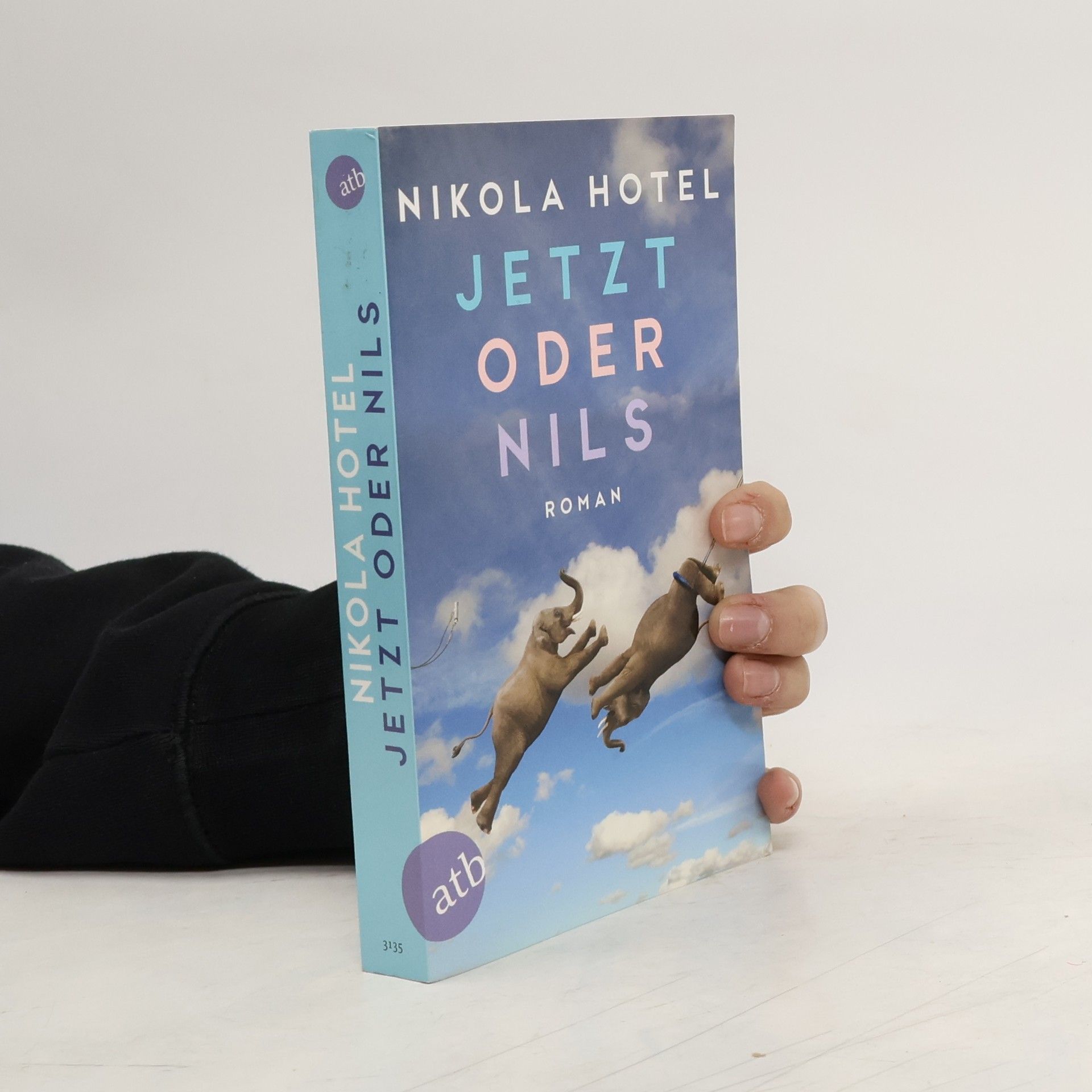 Nikola Hotel Jetzt oder Nils