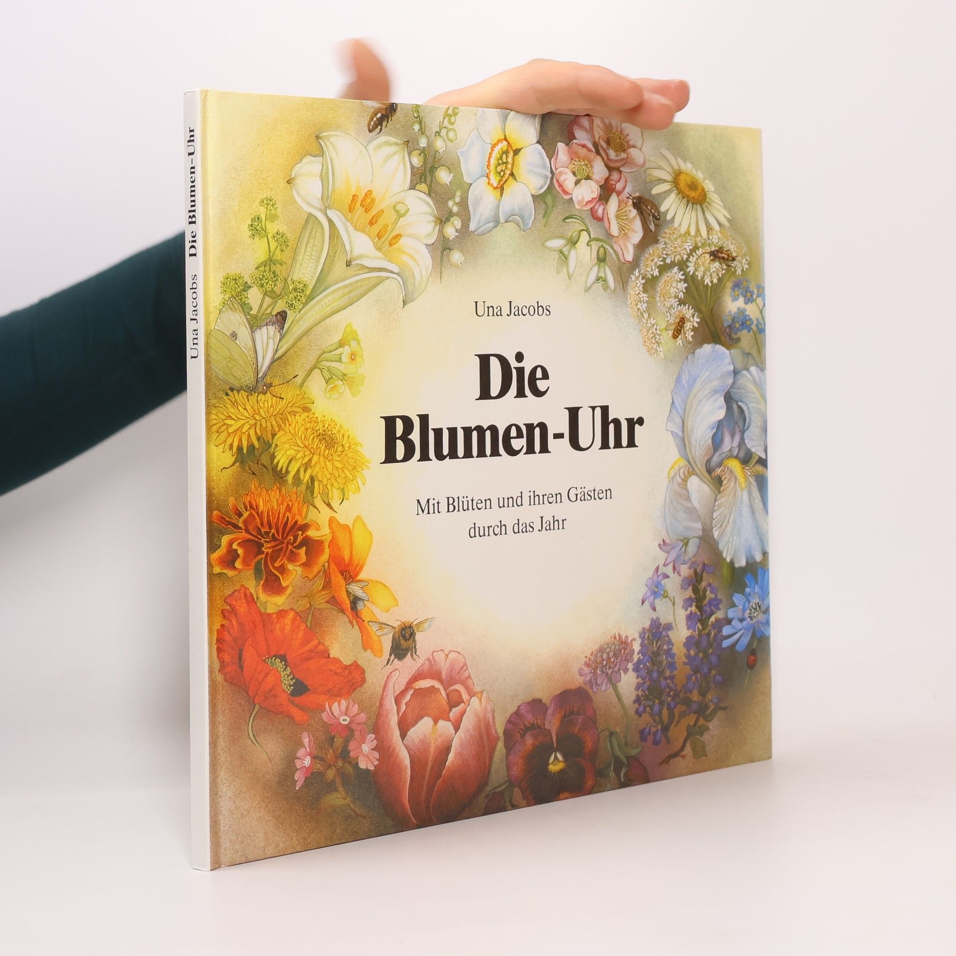Die Blumen-Uhr