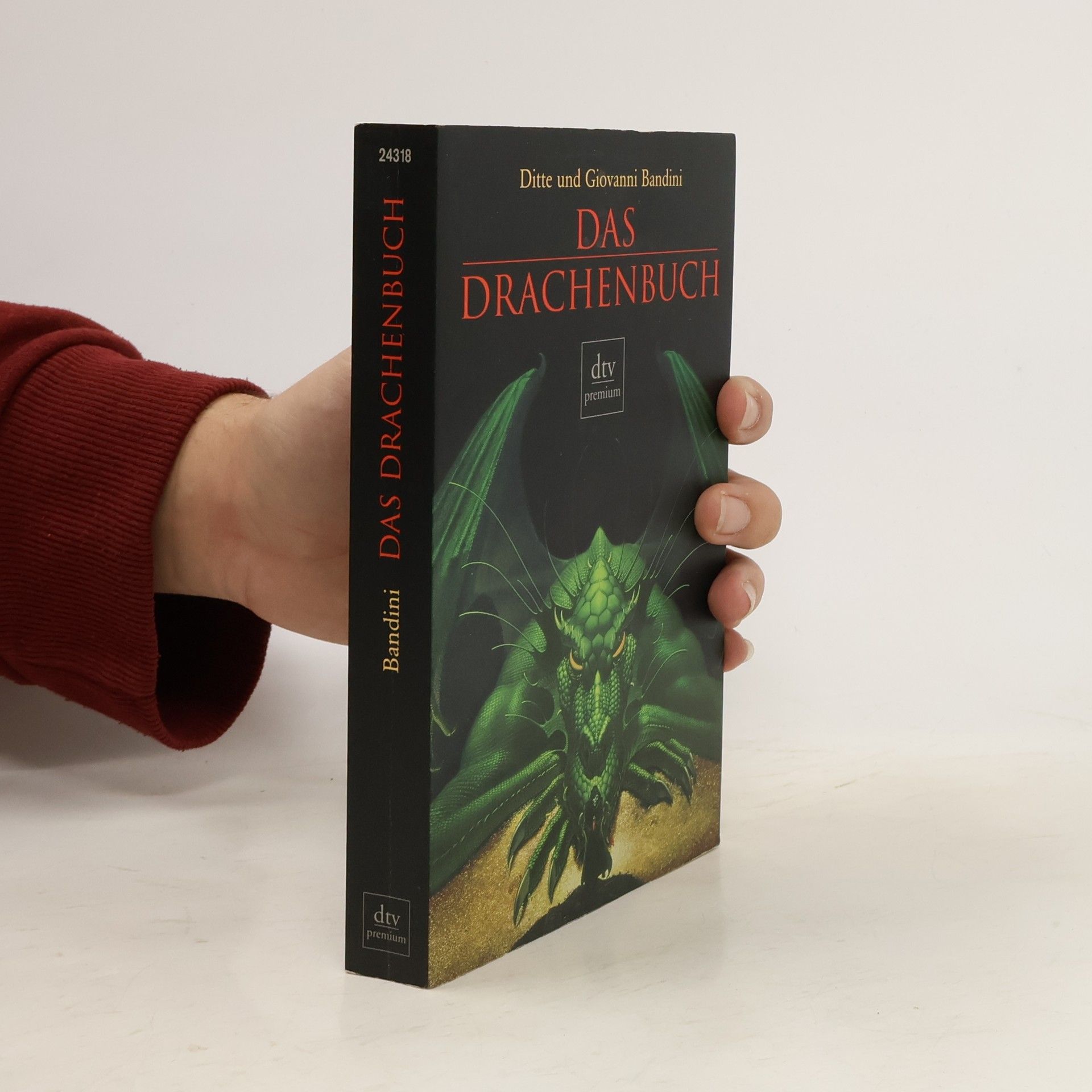 Ditte Bandini Das Drachenbuch