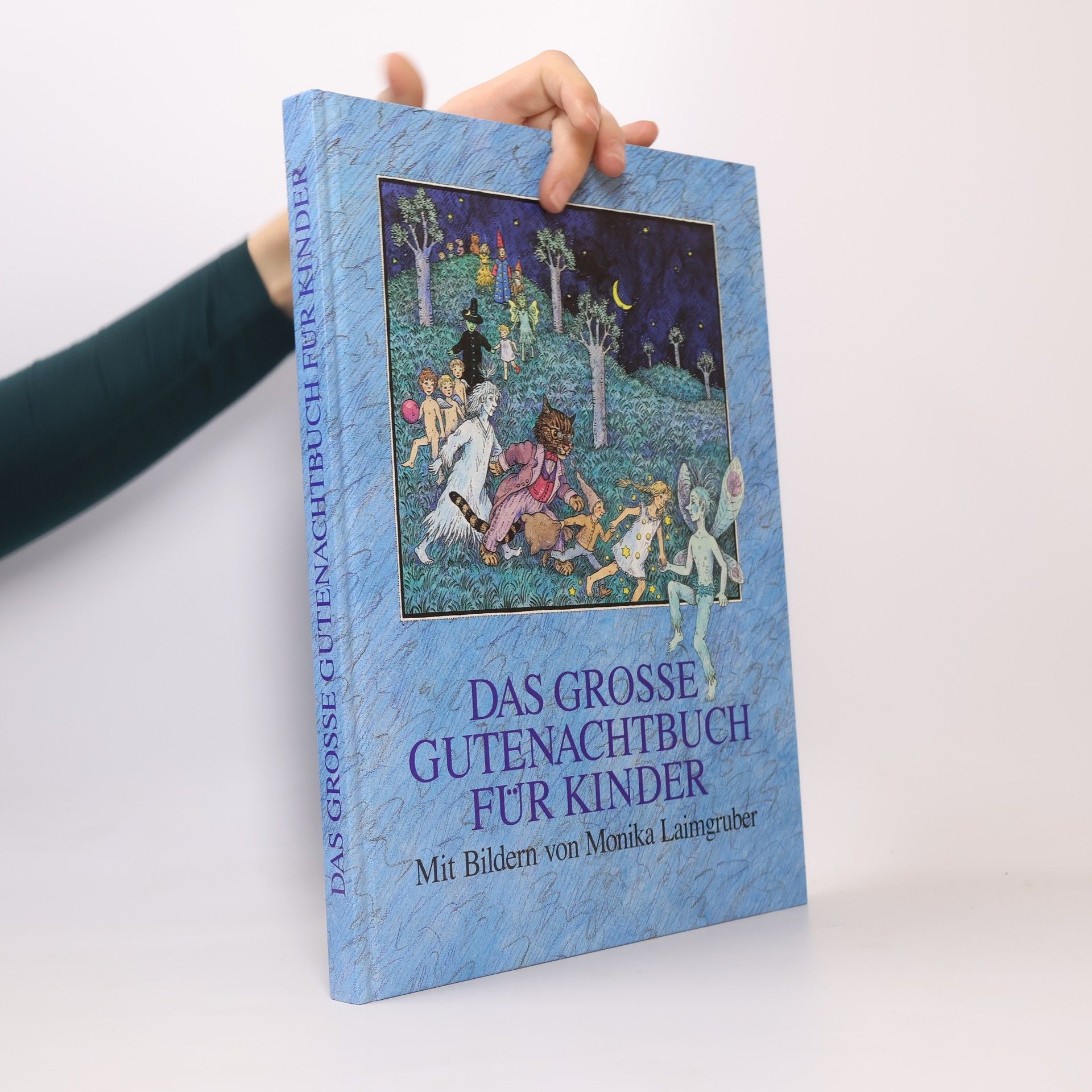 Monika Laimgruber Das grosse Gutenachtbuch für Kinder