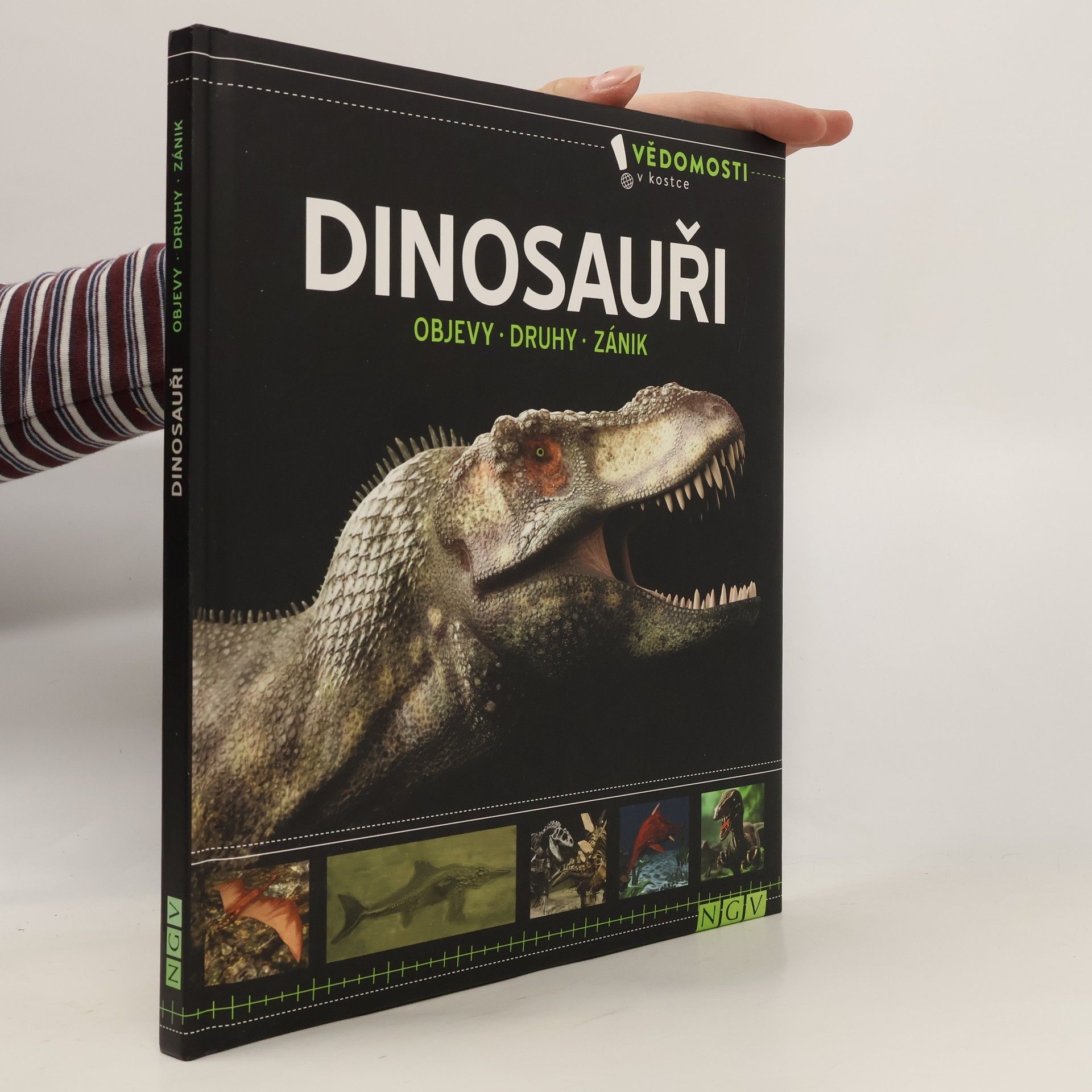 Kolektiv autorů Dinosauři