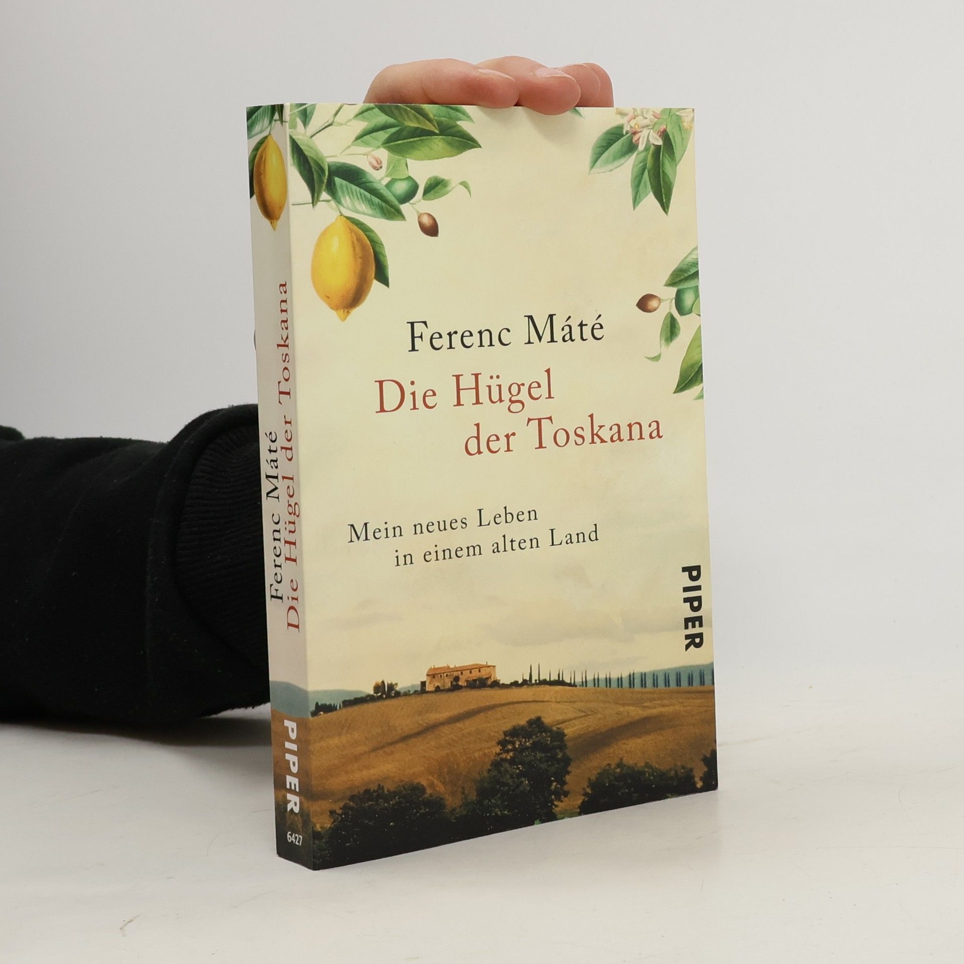 Die Hügel der Toskana