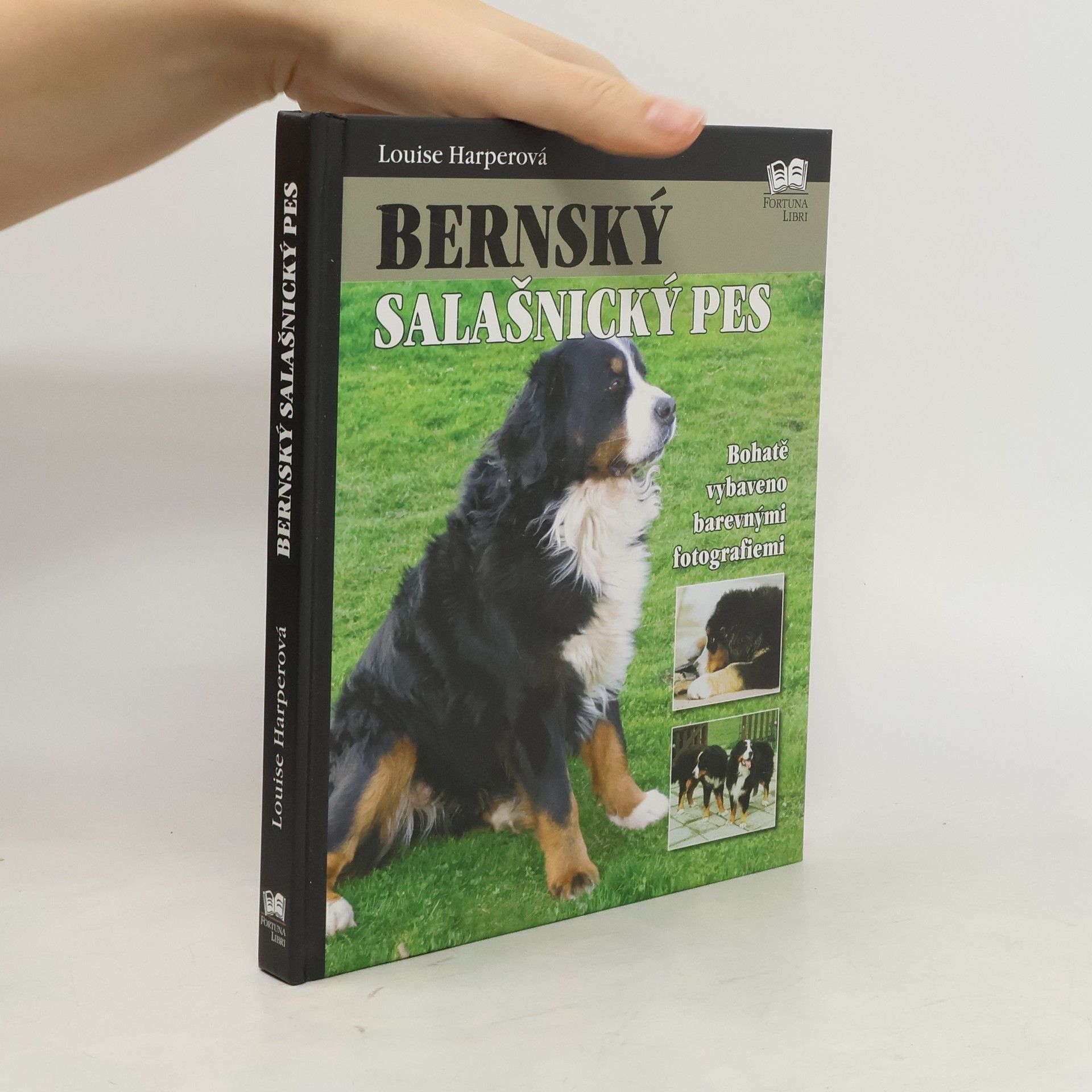 Louise Harper Bernský salašnický pes