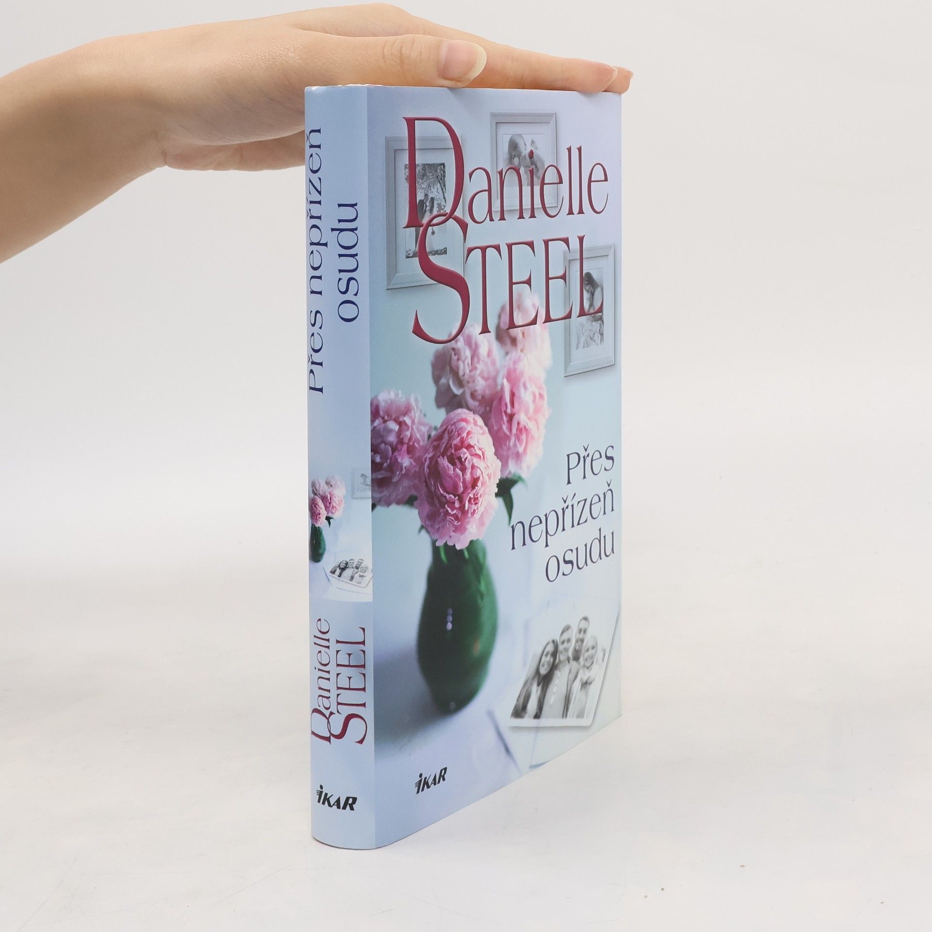 Danielle Steel Přes nepřízeň osudu