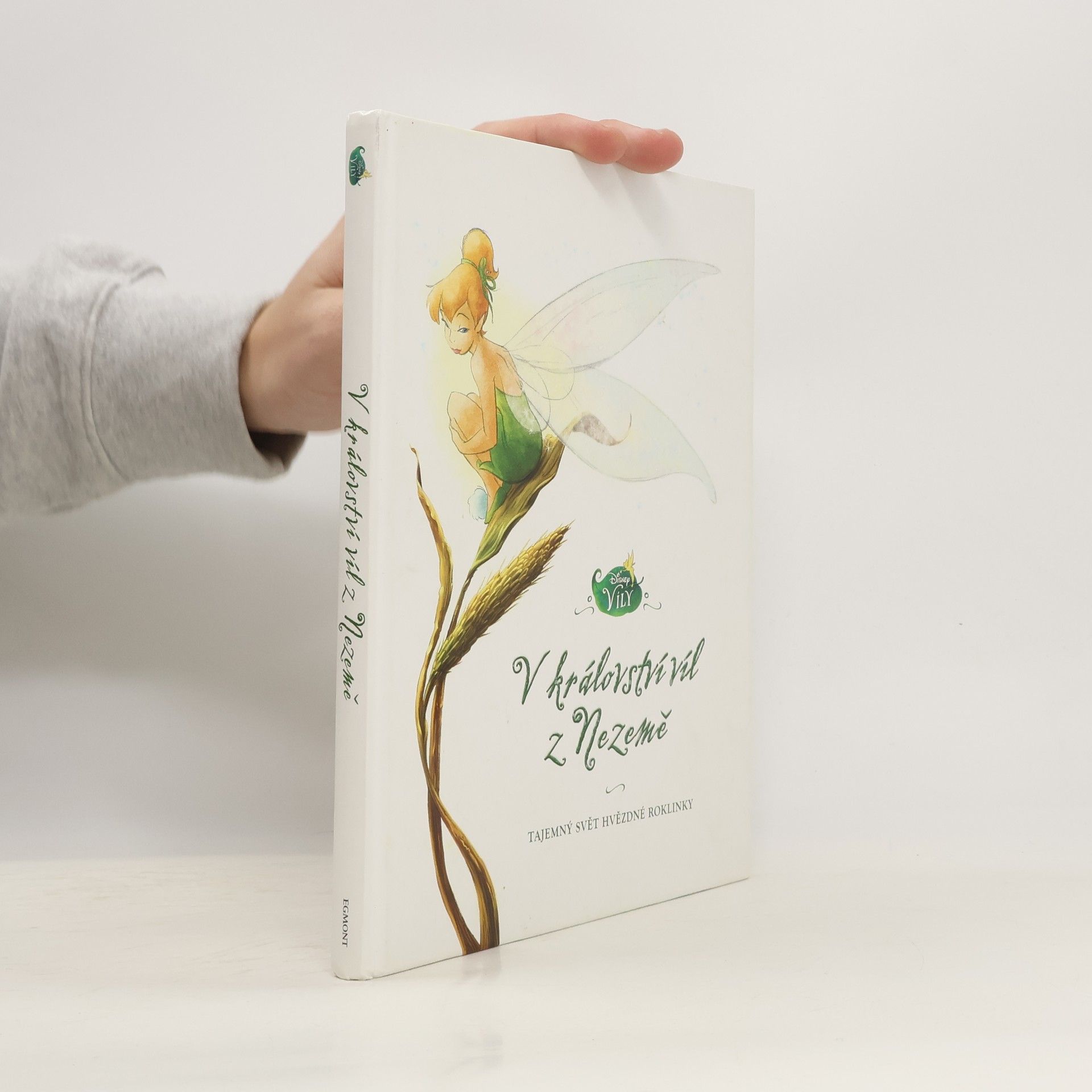 V království víl z Nezemě : tajemný svět Hvězdné roklinky
