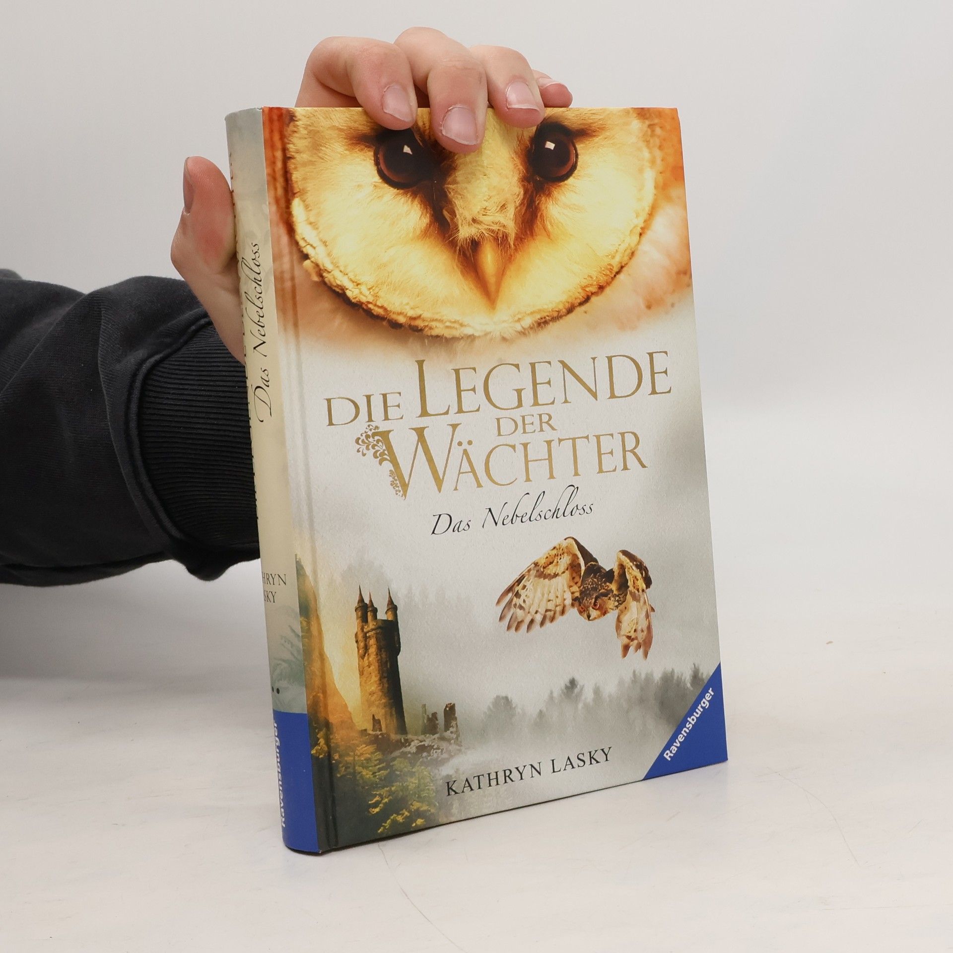 Kathryn Lasky Die Legende der Wächter 13. Das Nebelschloss