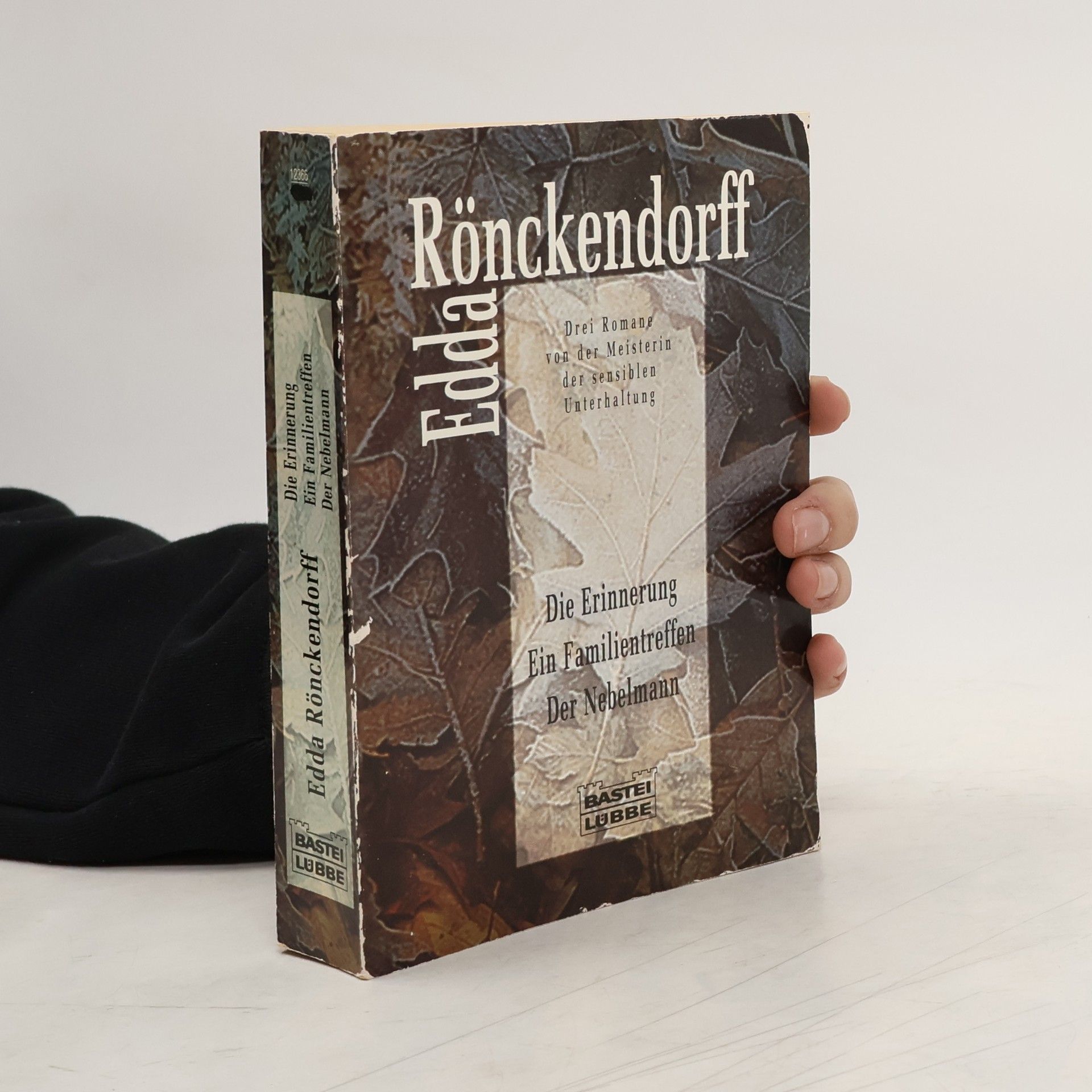 Edda Rönckendorff Die Erinnerung, ein Familien Treffen, der Nebelmann