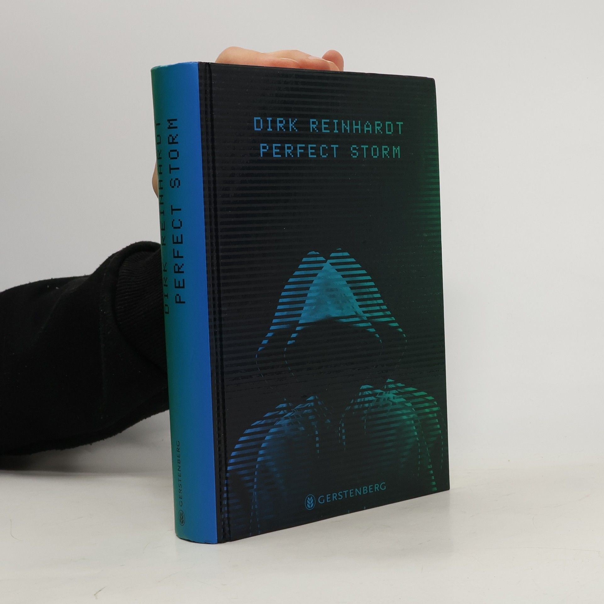 Dirk Reinhardt Perfect Storm