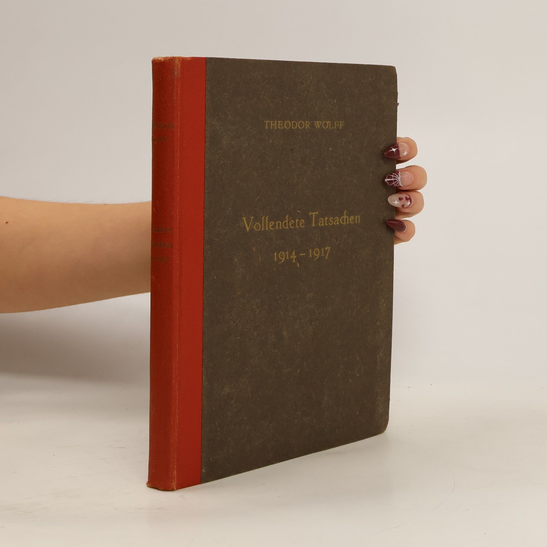 Theodor Wolff Vollendete Tatsachen 1914-1917