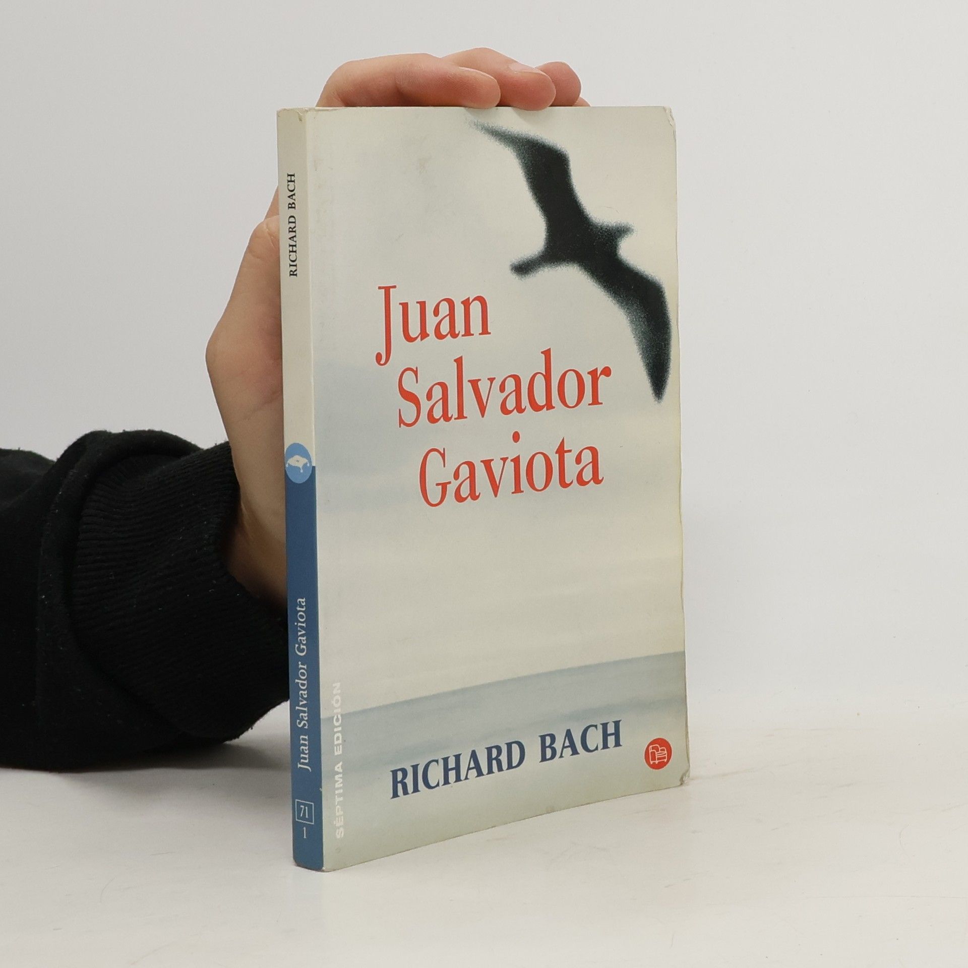 Richard Bach Juan Salvador Gaviota