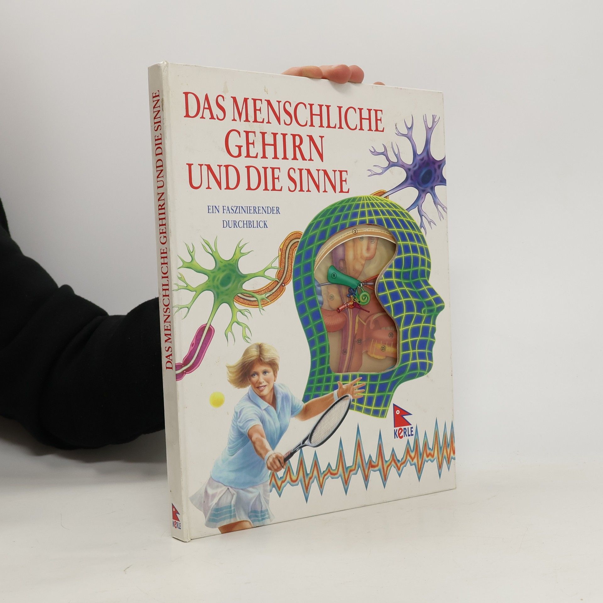 Jenny Bryan Das menschliche Gehirn und seine Sinne