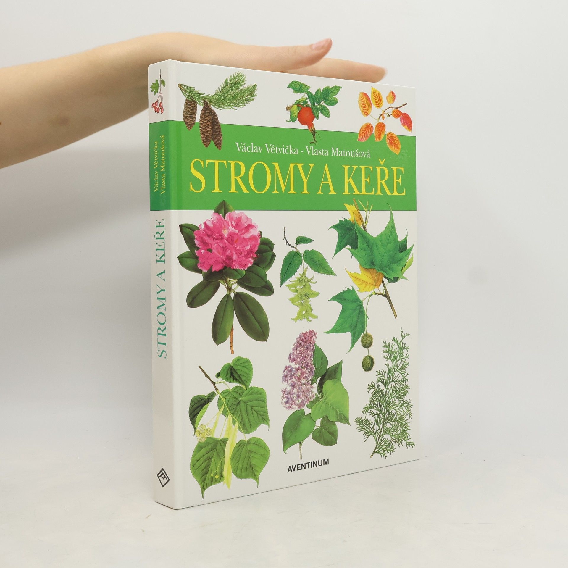 Václav Větvička Stromy a keře