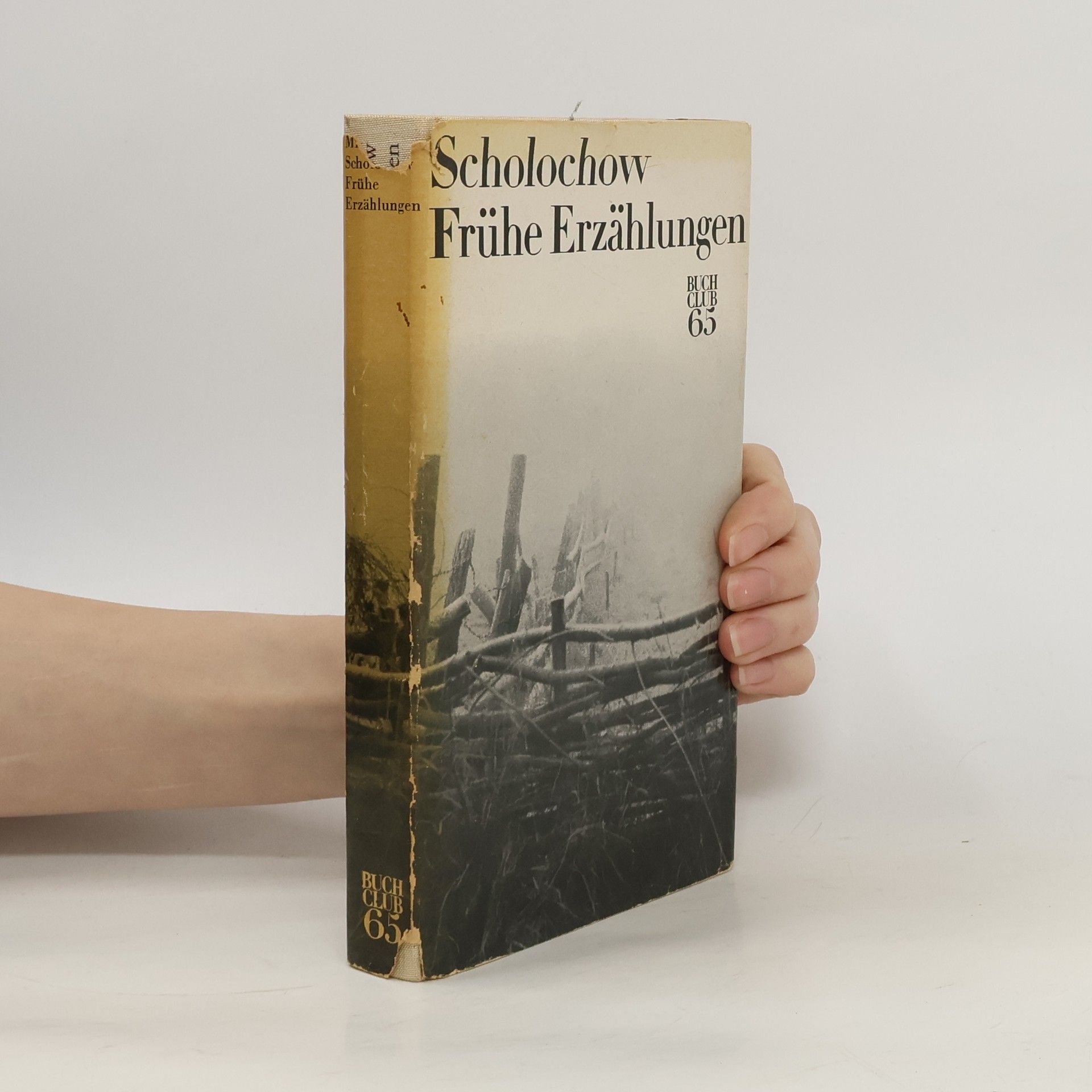 Michail Aleksandrovič Šolochov Frühe Erzählungen