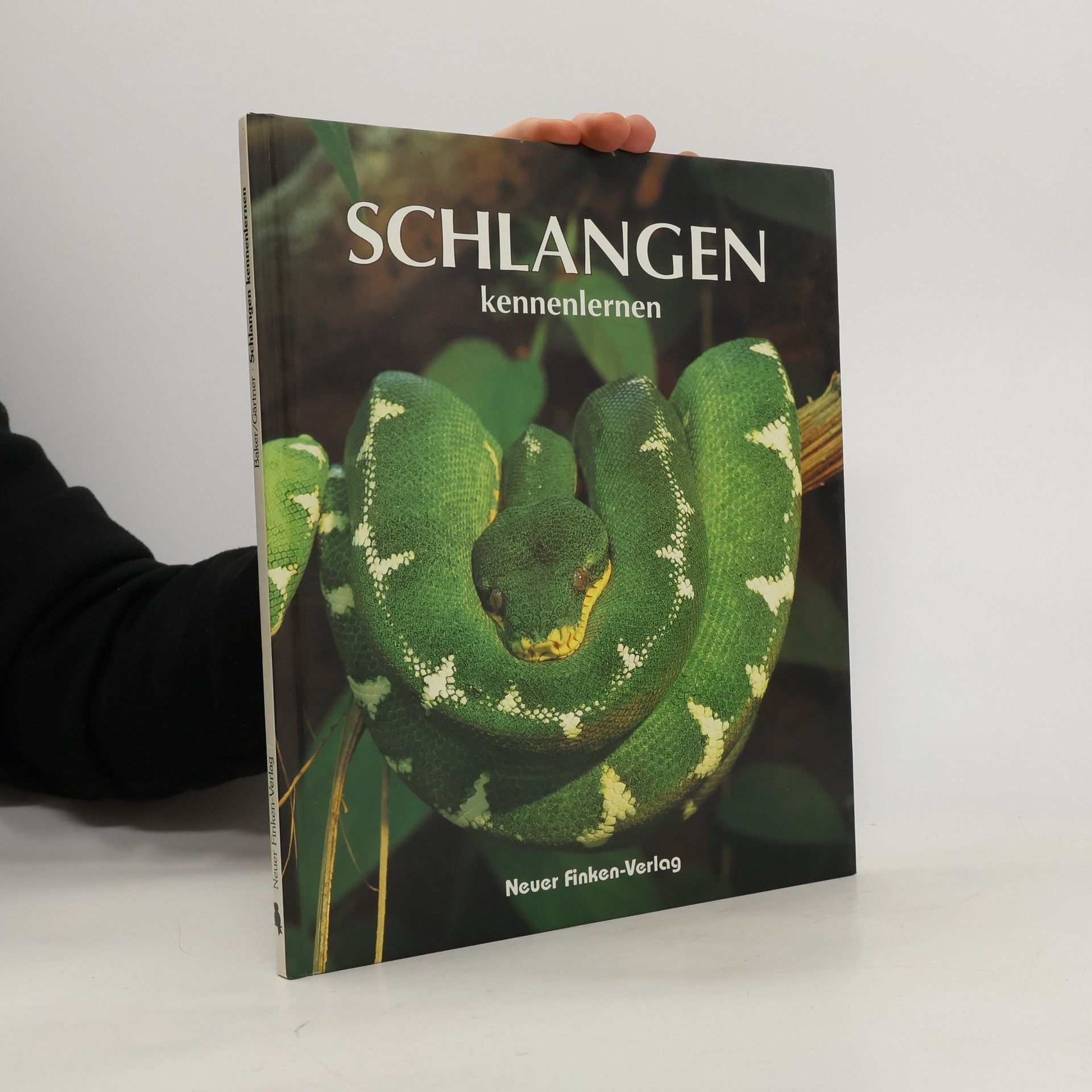 Schlangen kennenlernen