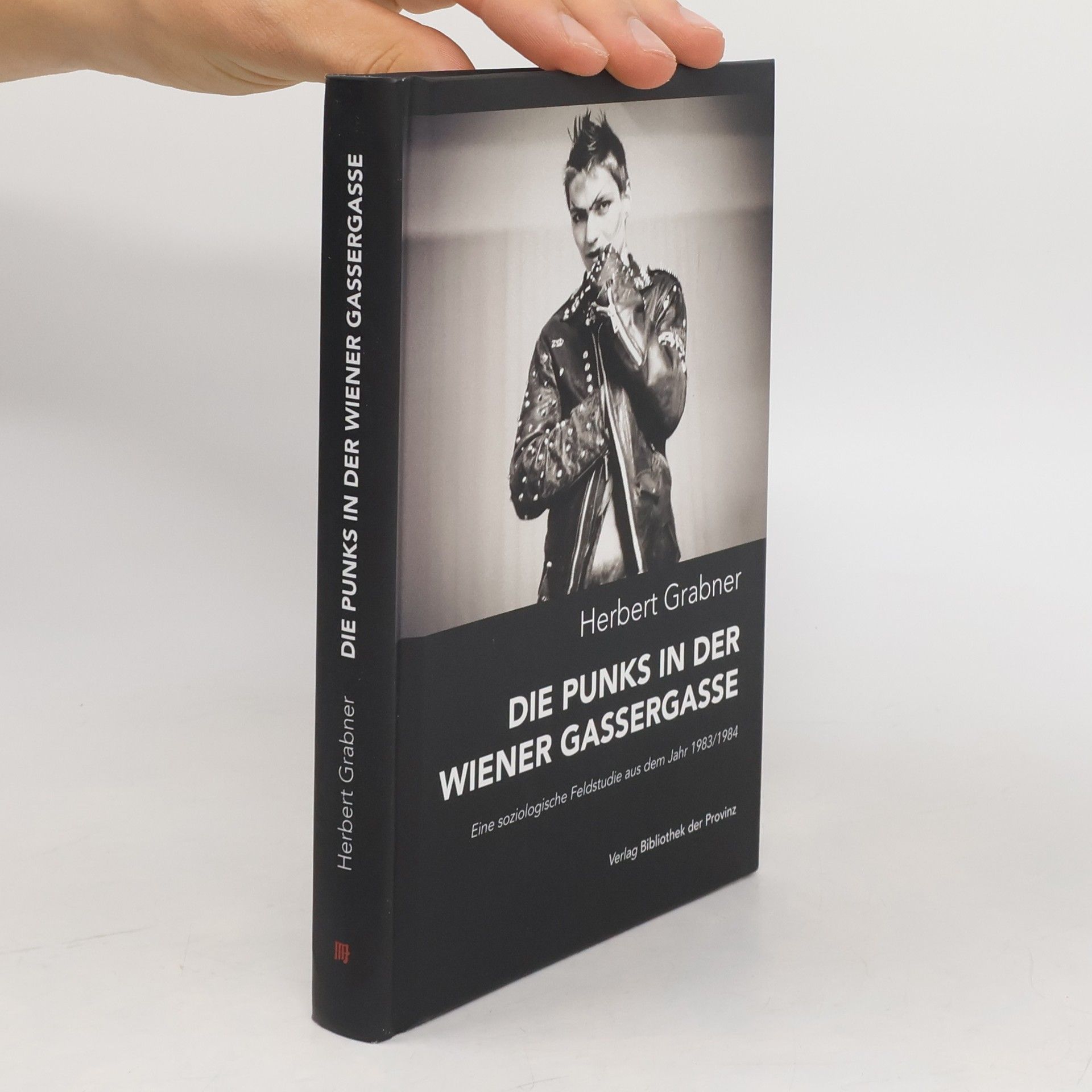 Die Punks in der Wiener Gassergasse