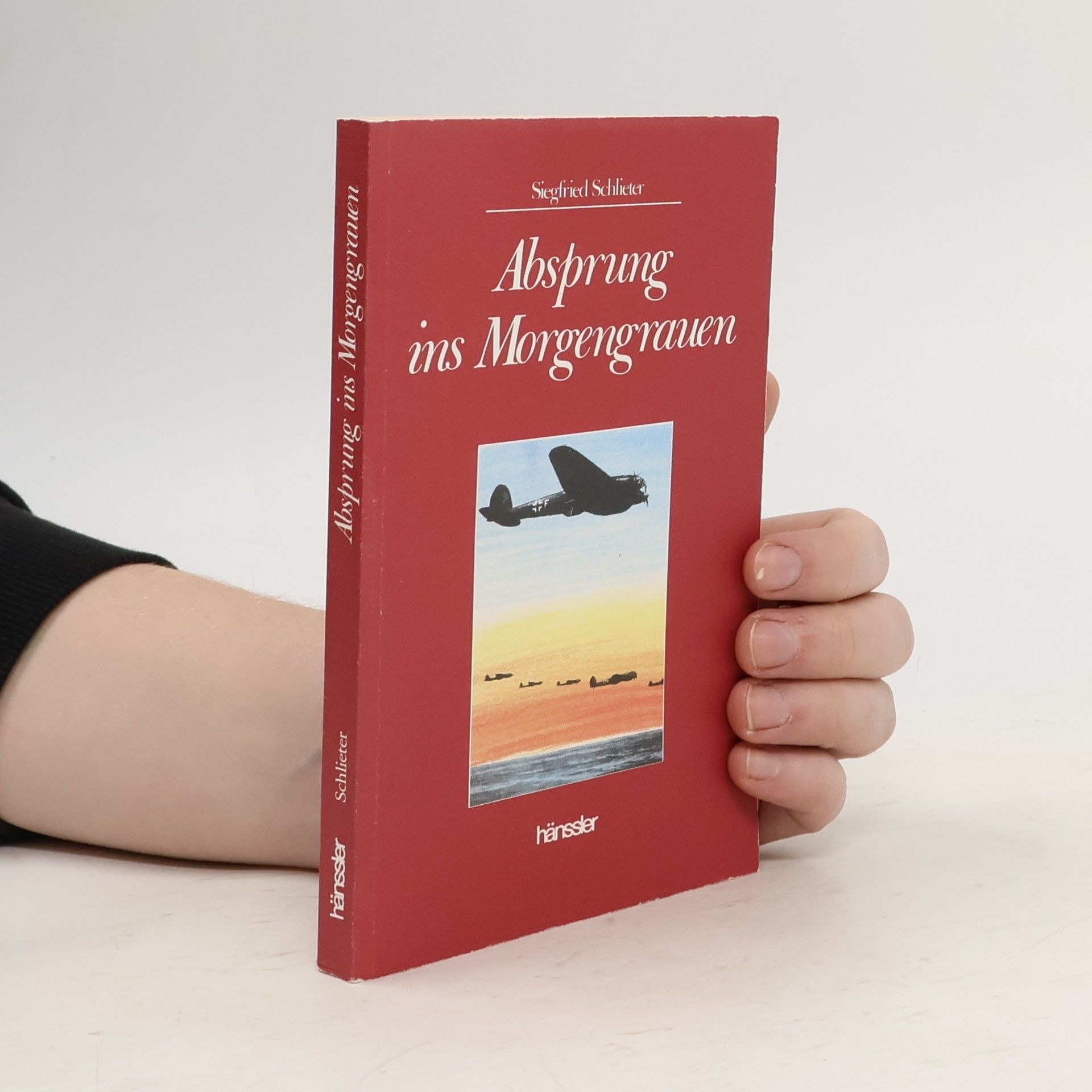 Siegfried Schlieter Absprung ins Morgengrauen