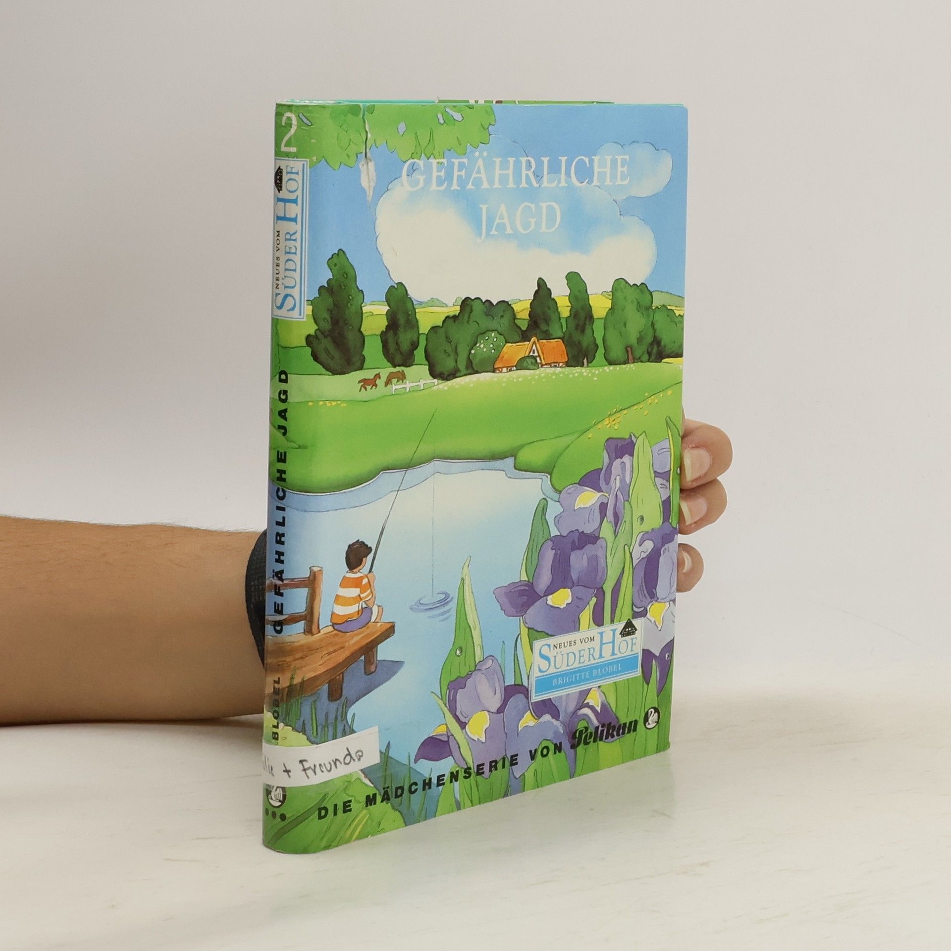 Neues vom Süderhof, Bd.2, Gefährliche Jagd