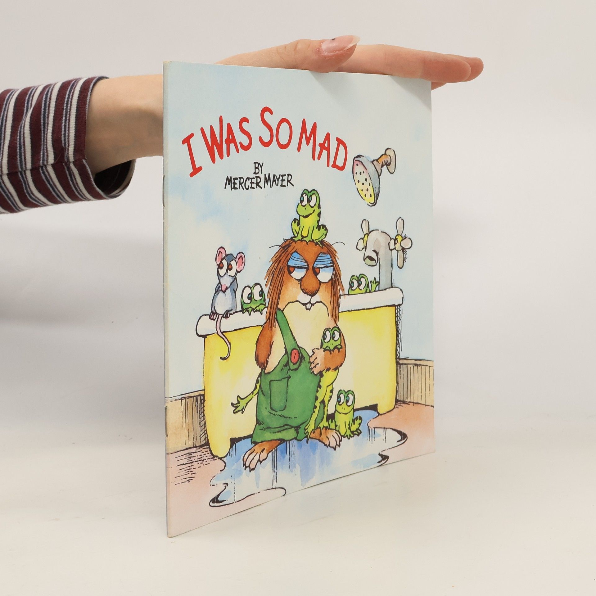 Mercer Mayer I Was So Mad