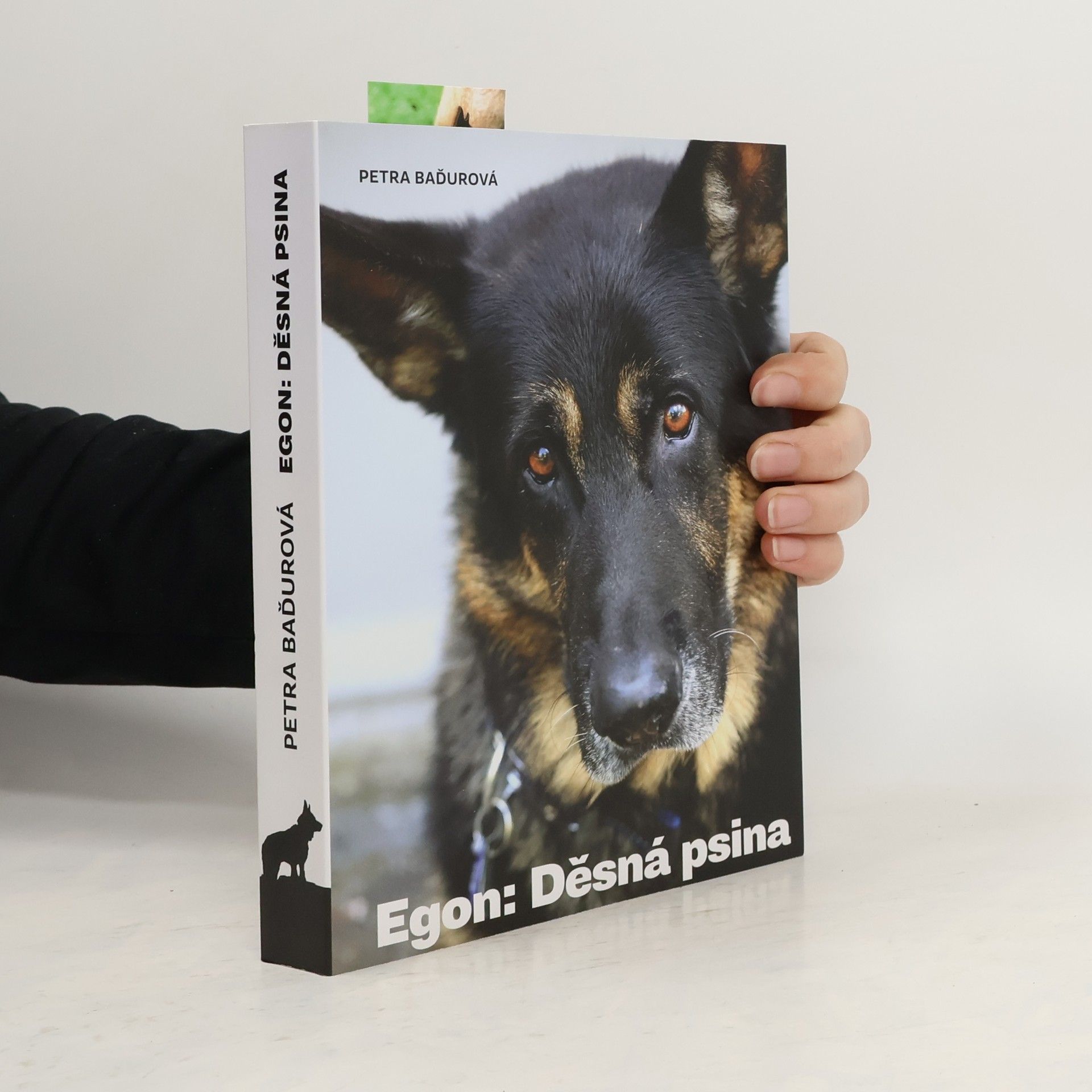 Petra Baďurová Egon: Děsná psina