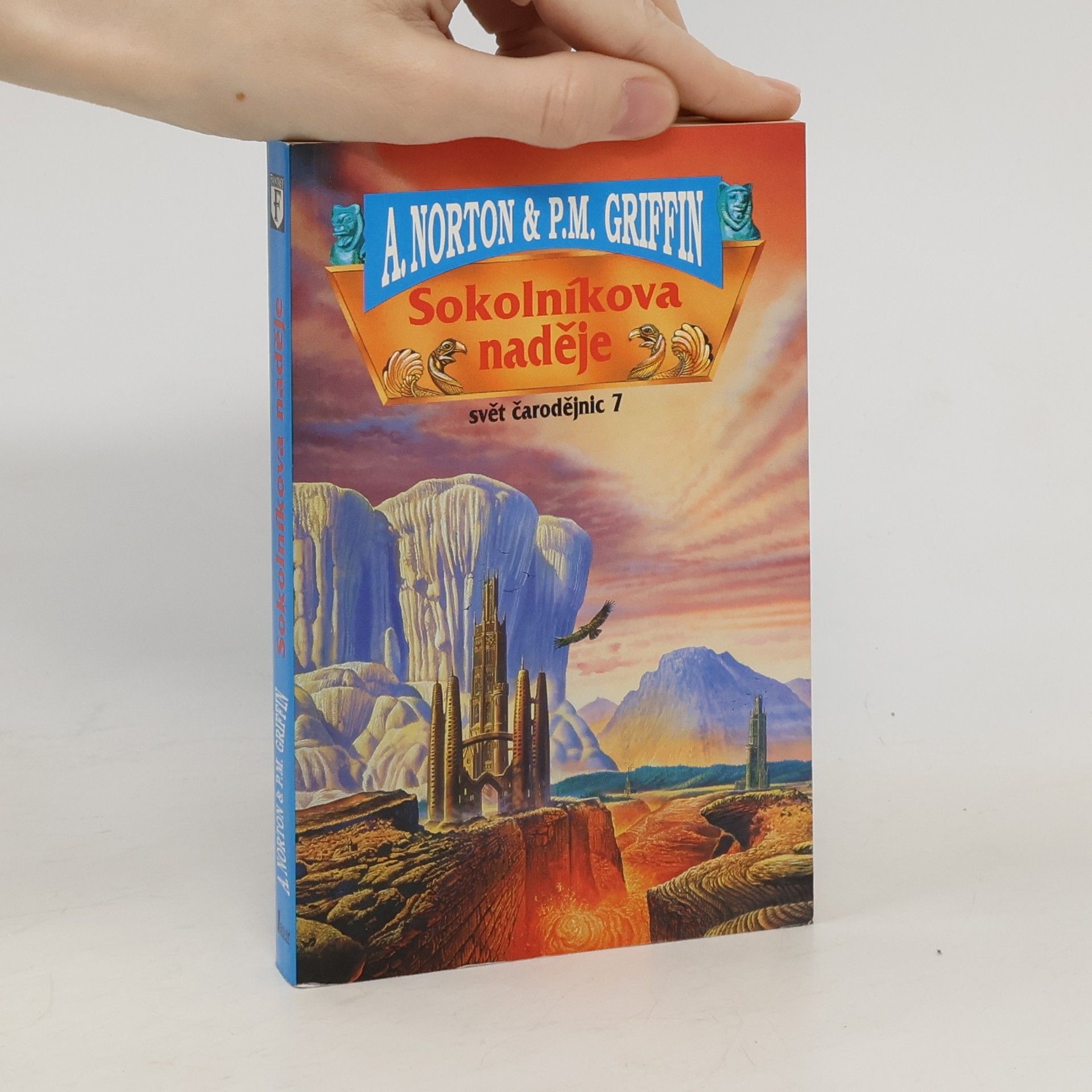 Andre Norton Svět čarodějnic 7, Sokolníkova naděje