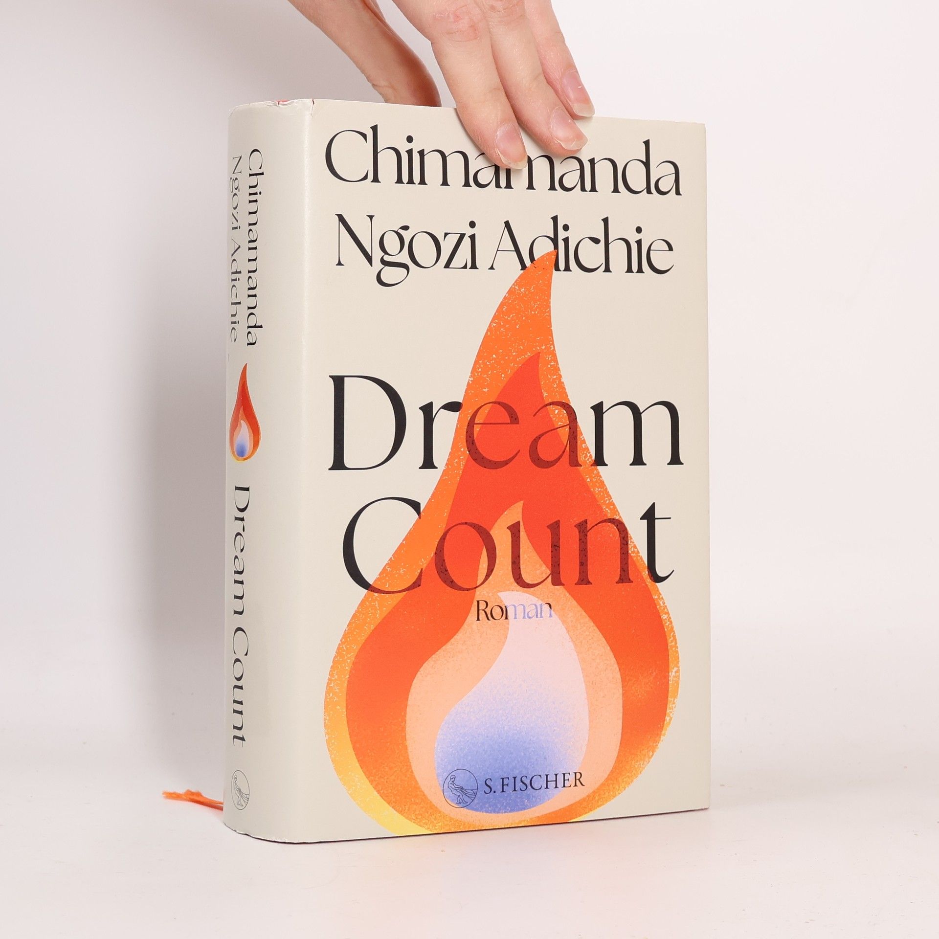 Chimamanda Ngozi Adichie Dream Count