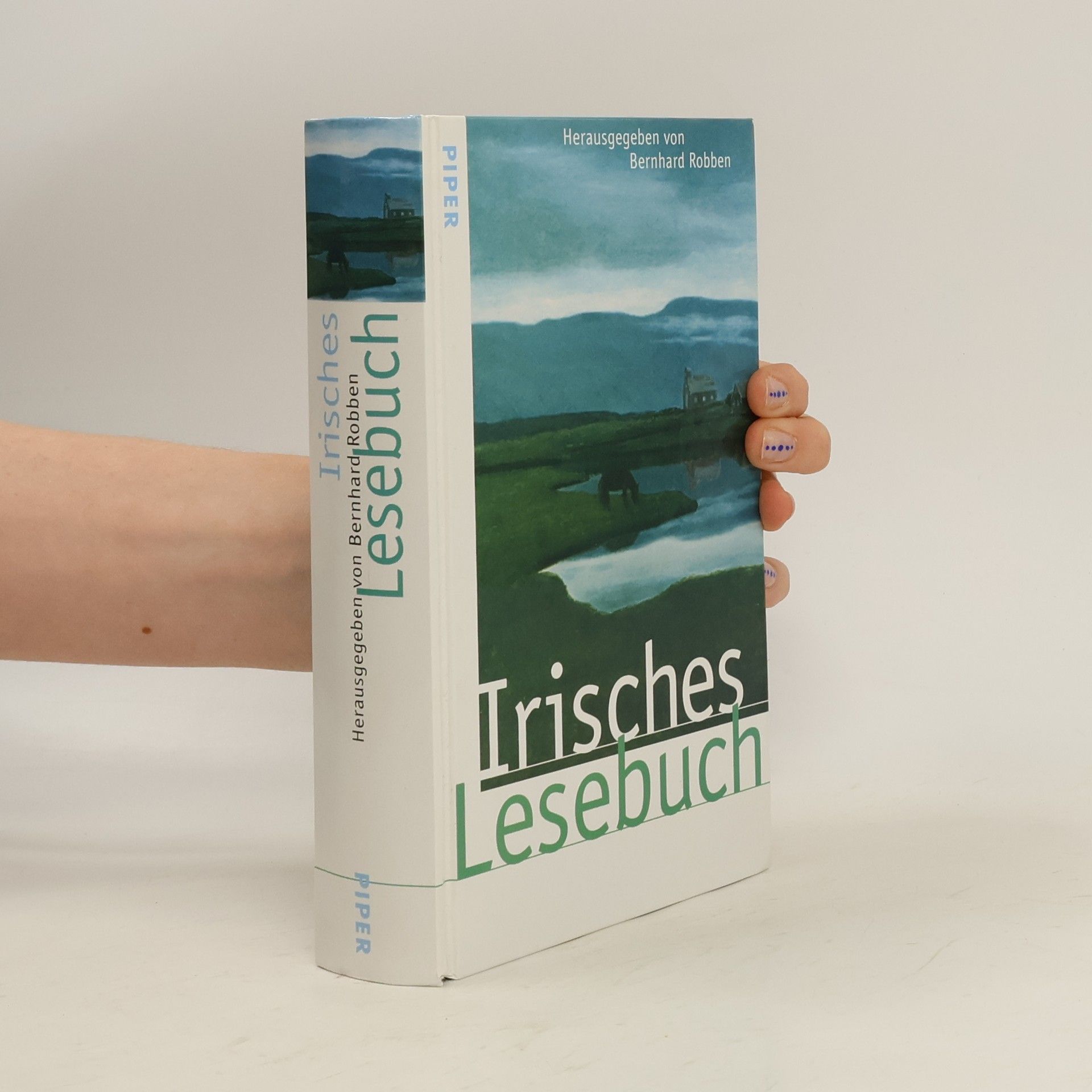 Bernhard Robben Irisches Lesebuch