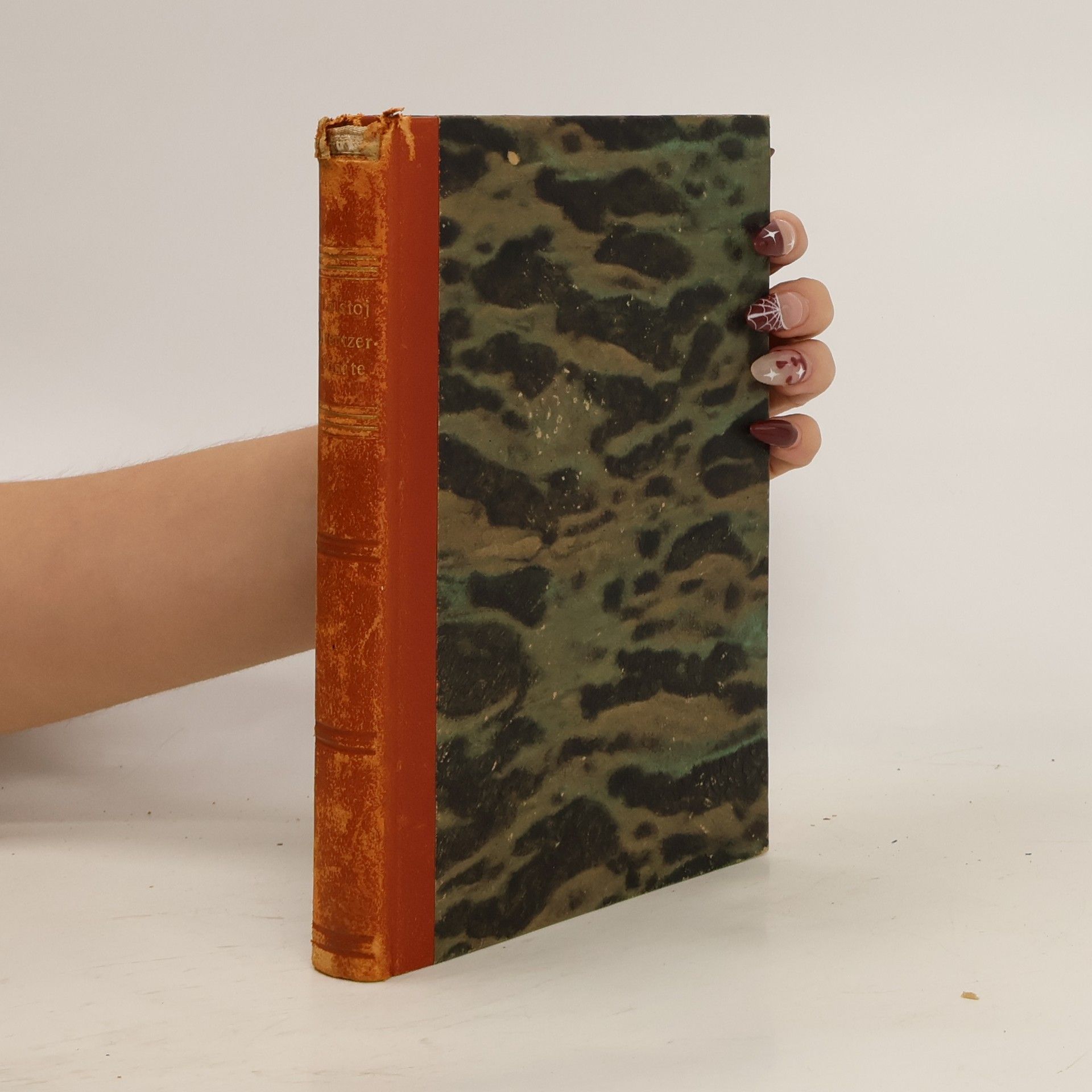 León Tolstói Kreutzer-Sonate und andere Novellen