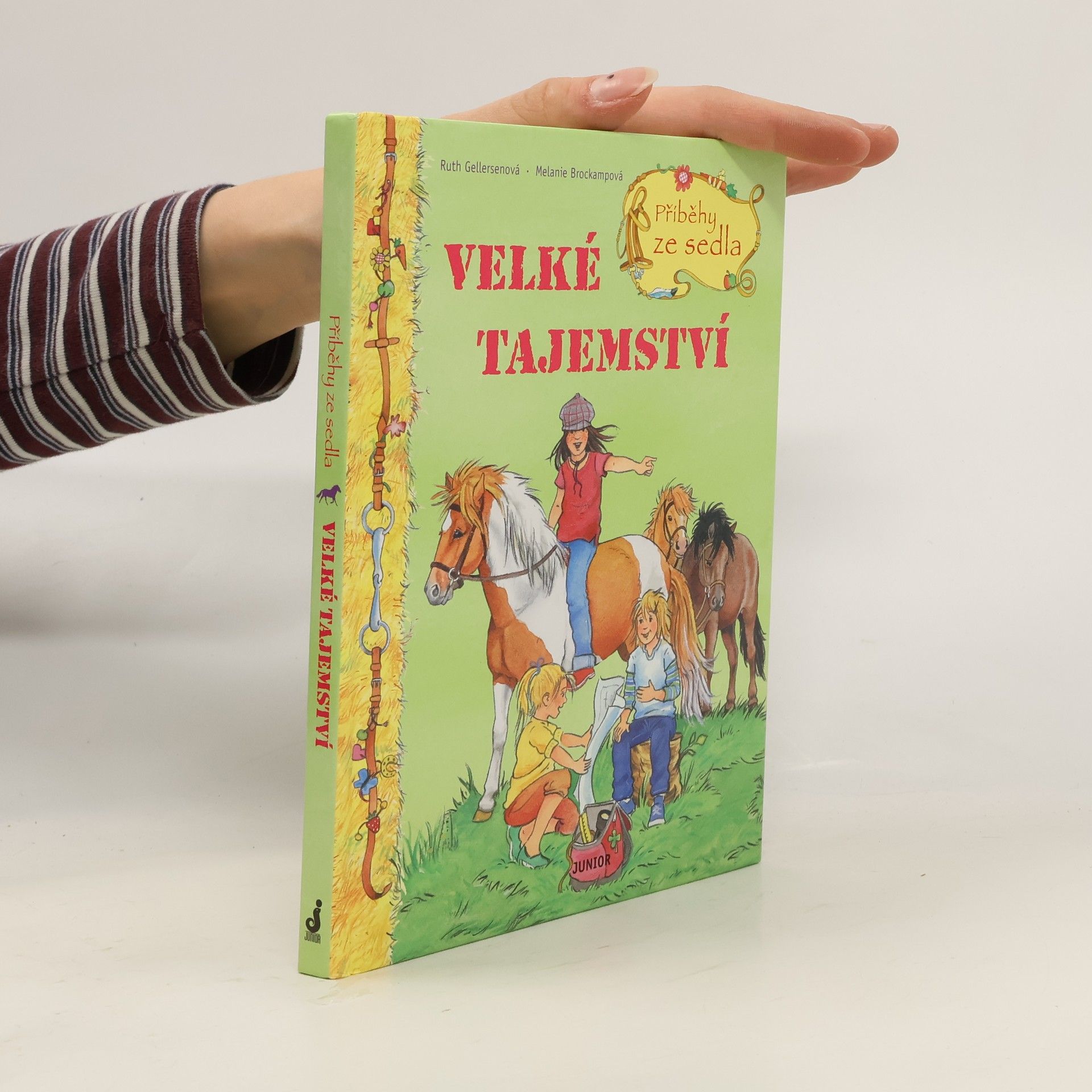 Ruth Gellersen Příběhy ze sedla. Velké tajemství