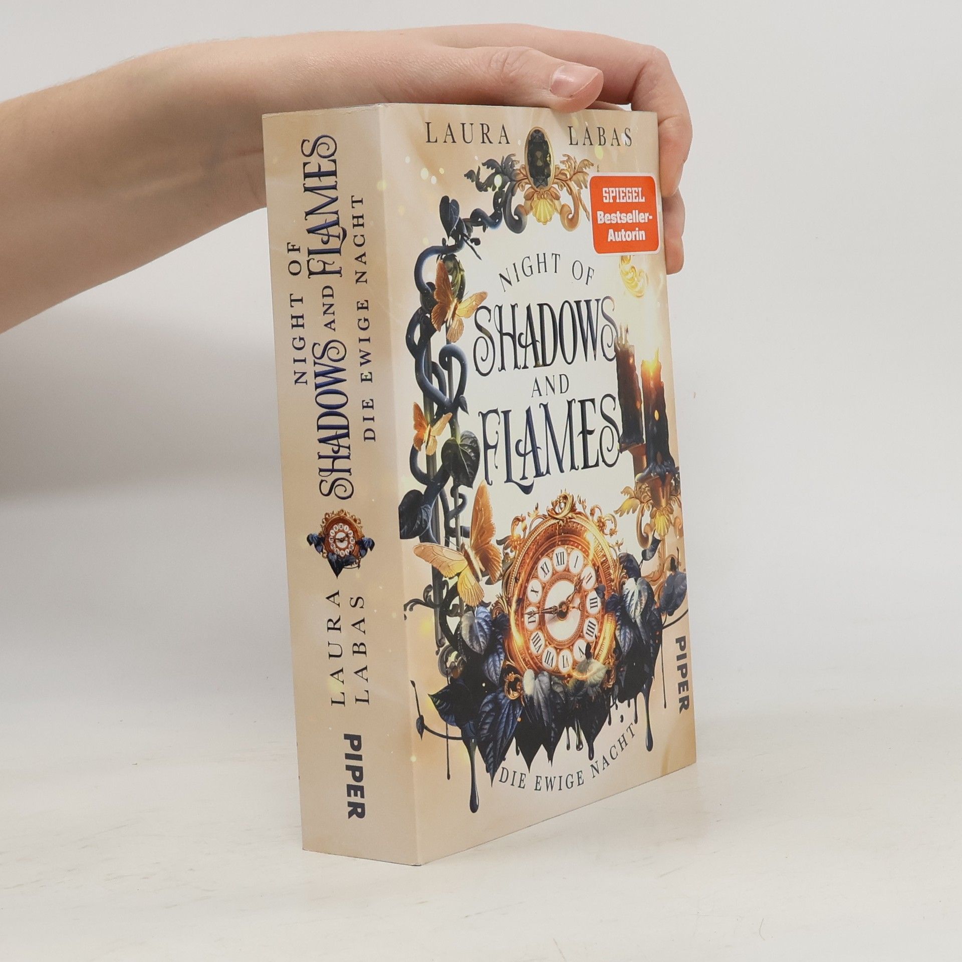 Laura Labas Die Ewige Nacht / Night of Shadows and Flames Bd.2