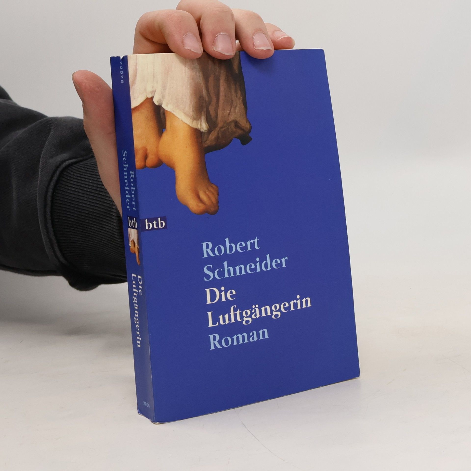 Robert Schneider Die Luftgängerin
