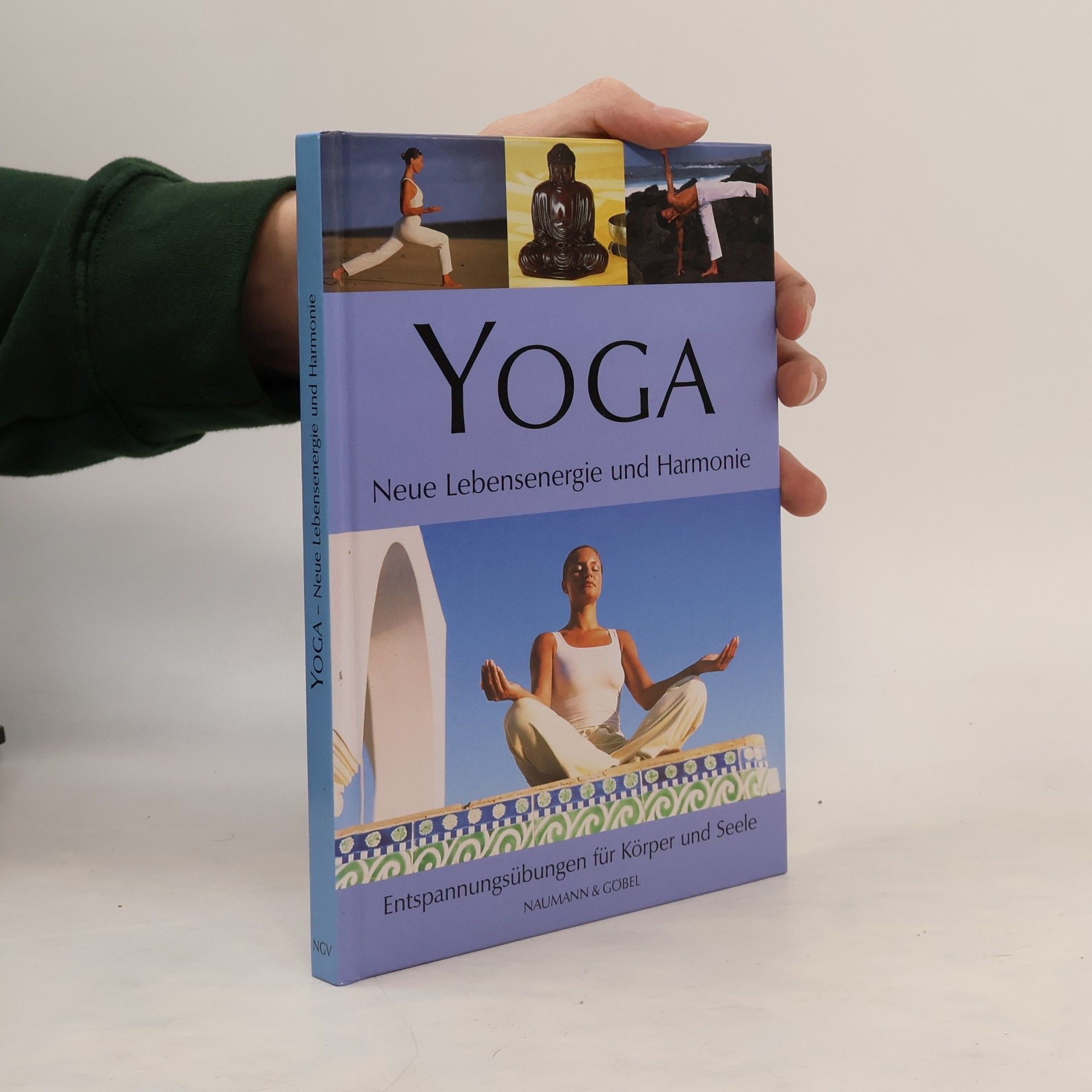 Kolektiv autorů Yoga