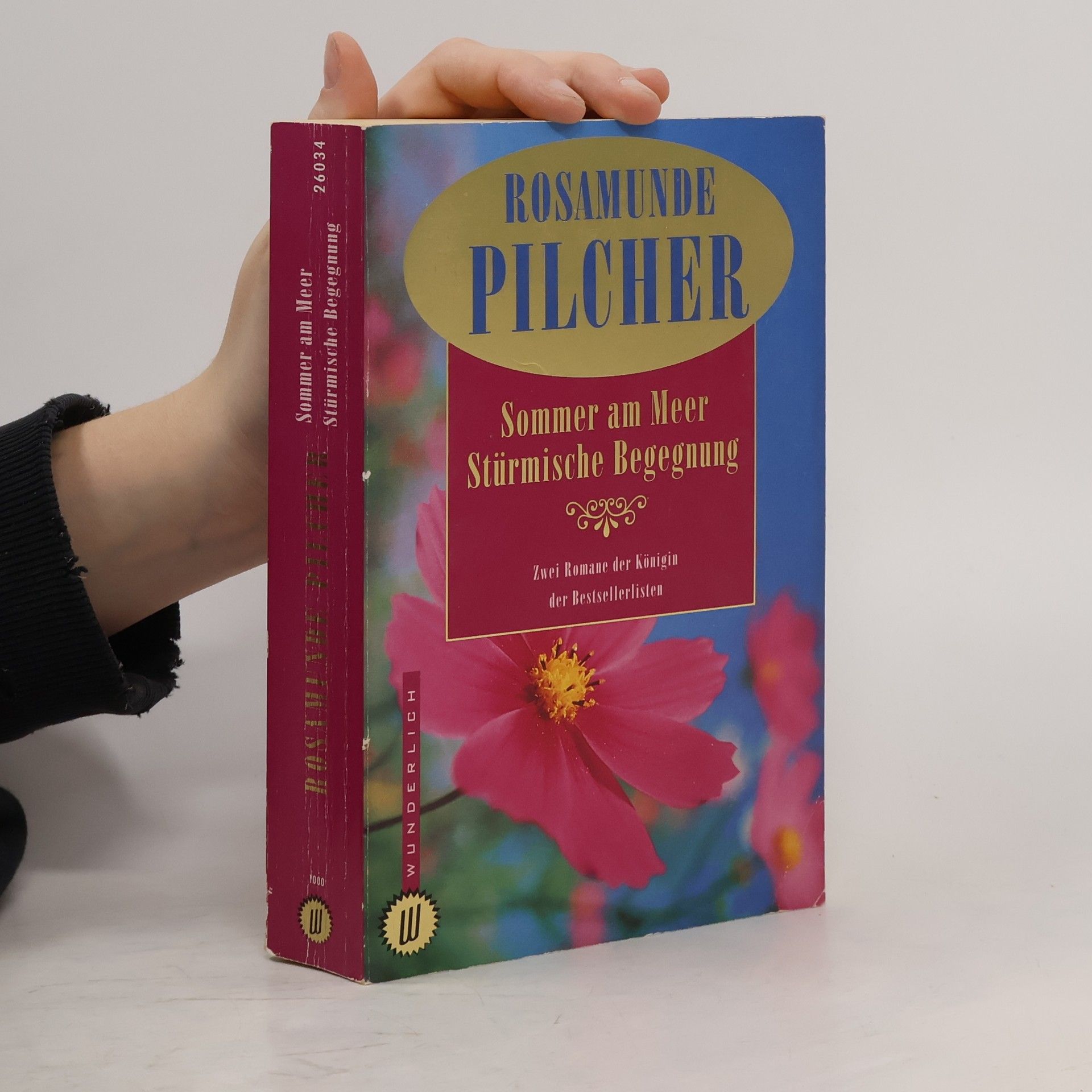 Rosamunde Pilcher Sommer am Meer Stürmische Begegnung