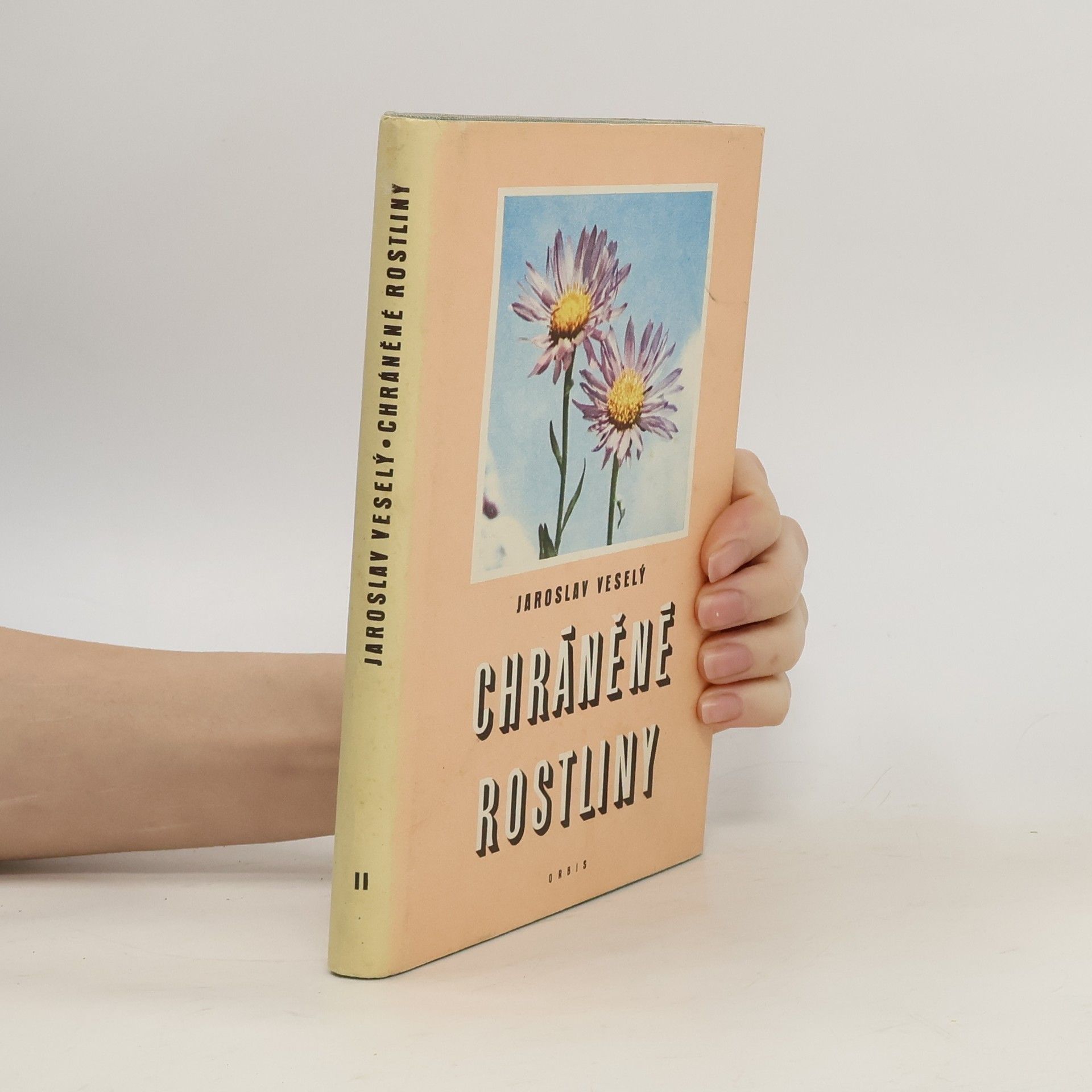 Chráněné rostliny II.