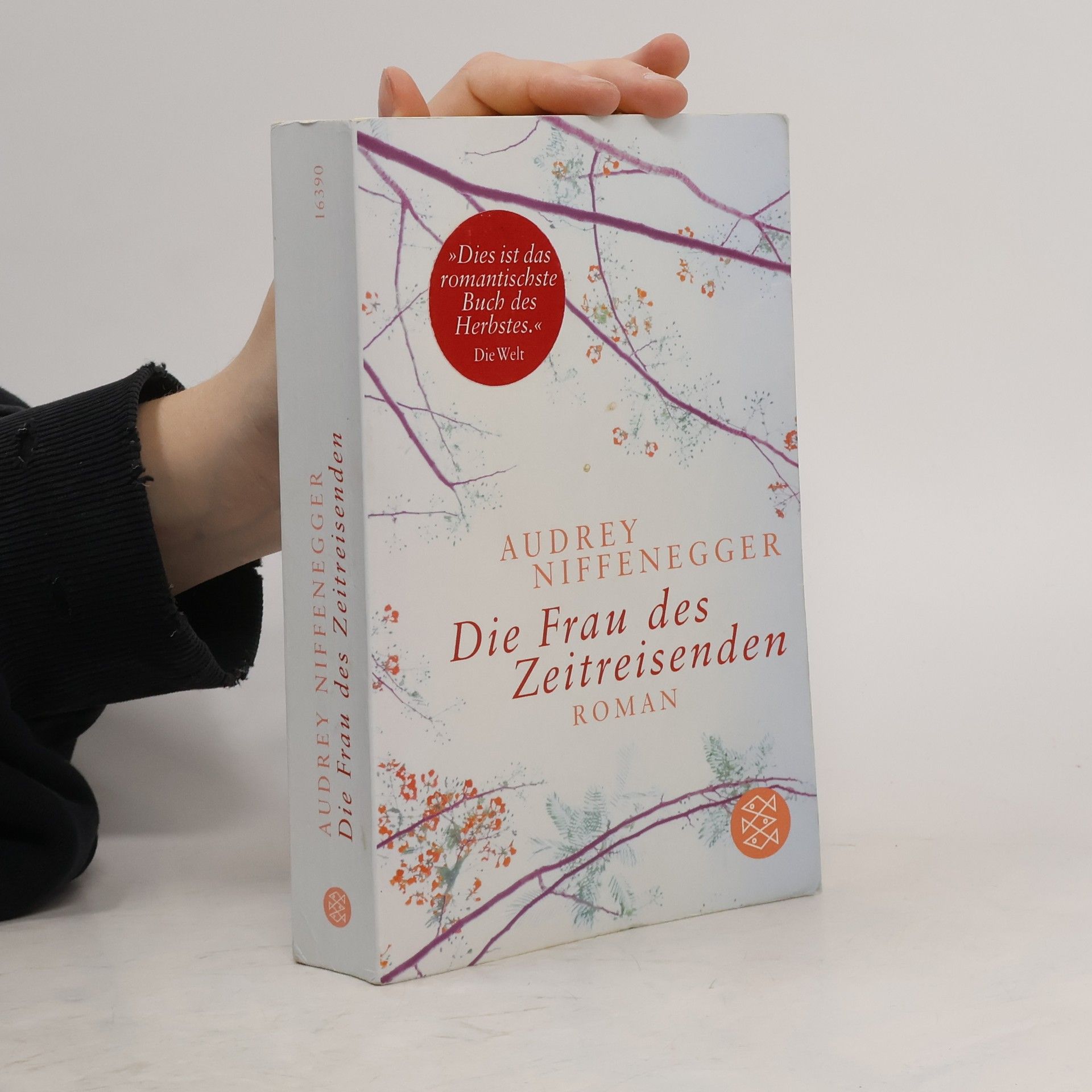 Die Frau des Zeitreisenden