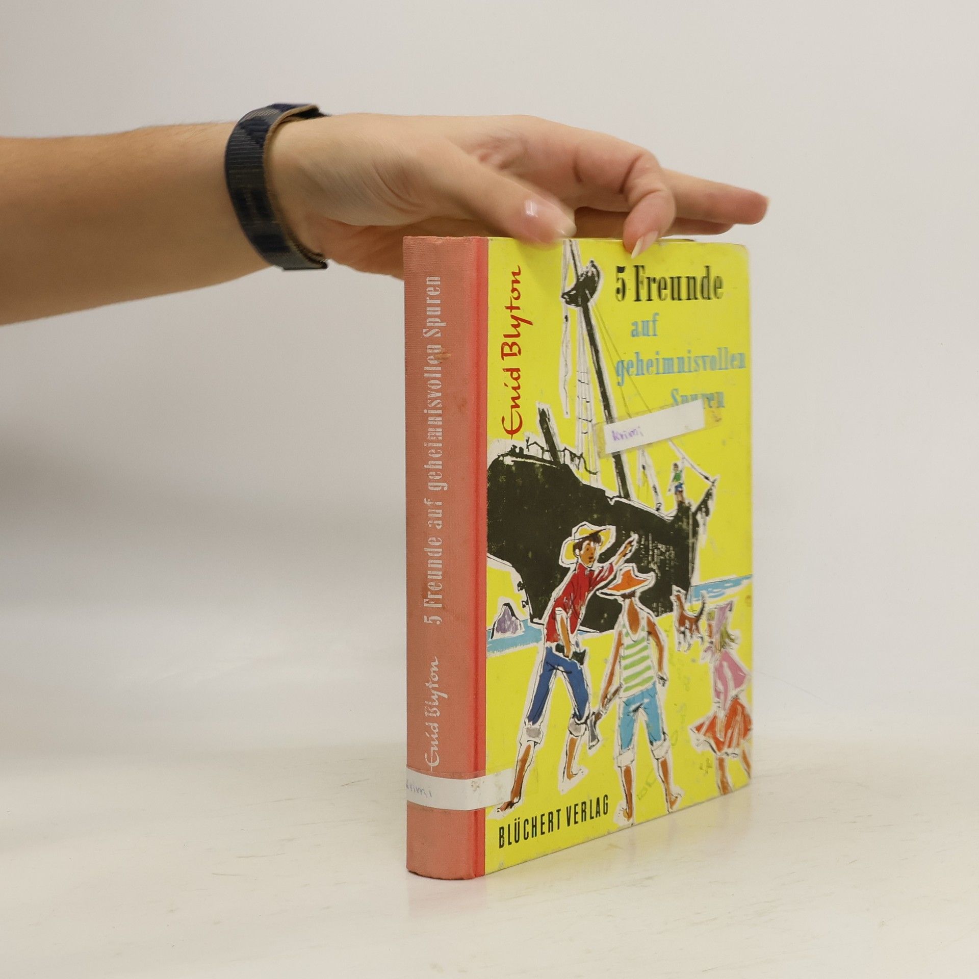 Enid Blyton 5 Freunde auf geheimnisvollen Spuren
