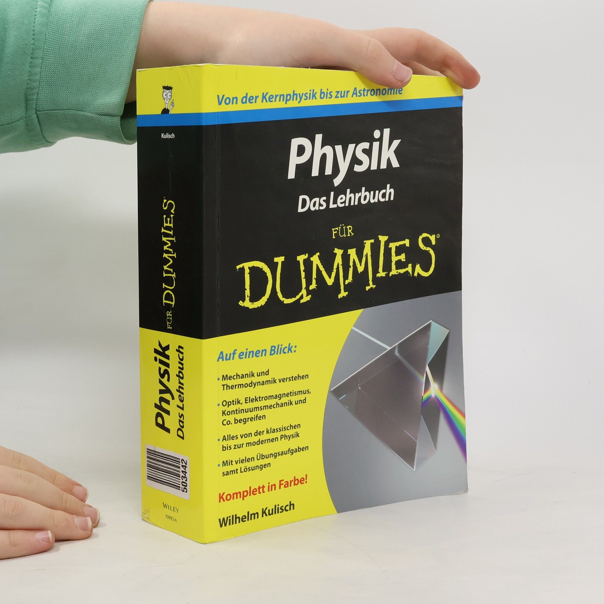 Wilhelm Kulisch Physik für Dummies