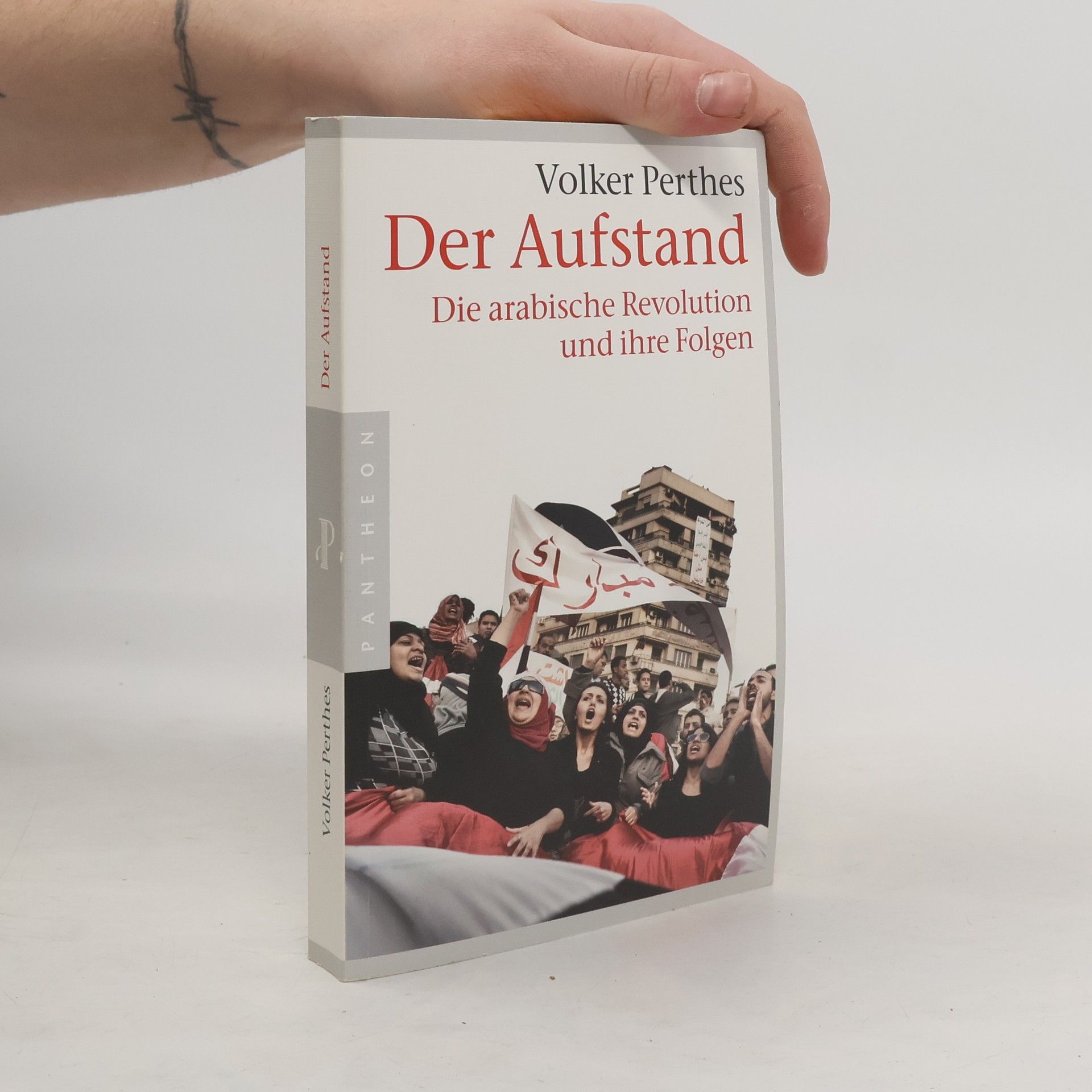 Der Aufstand. Die arabische Revolution und ihre Folgen