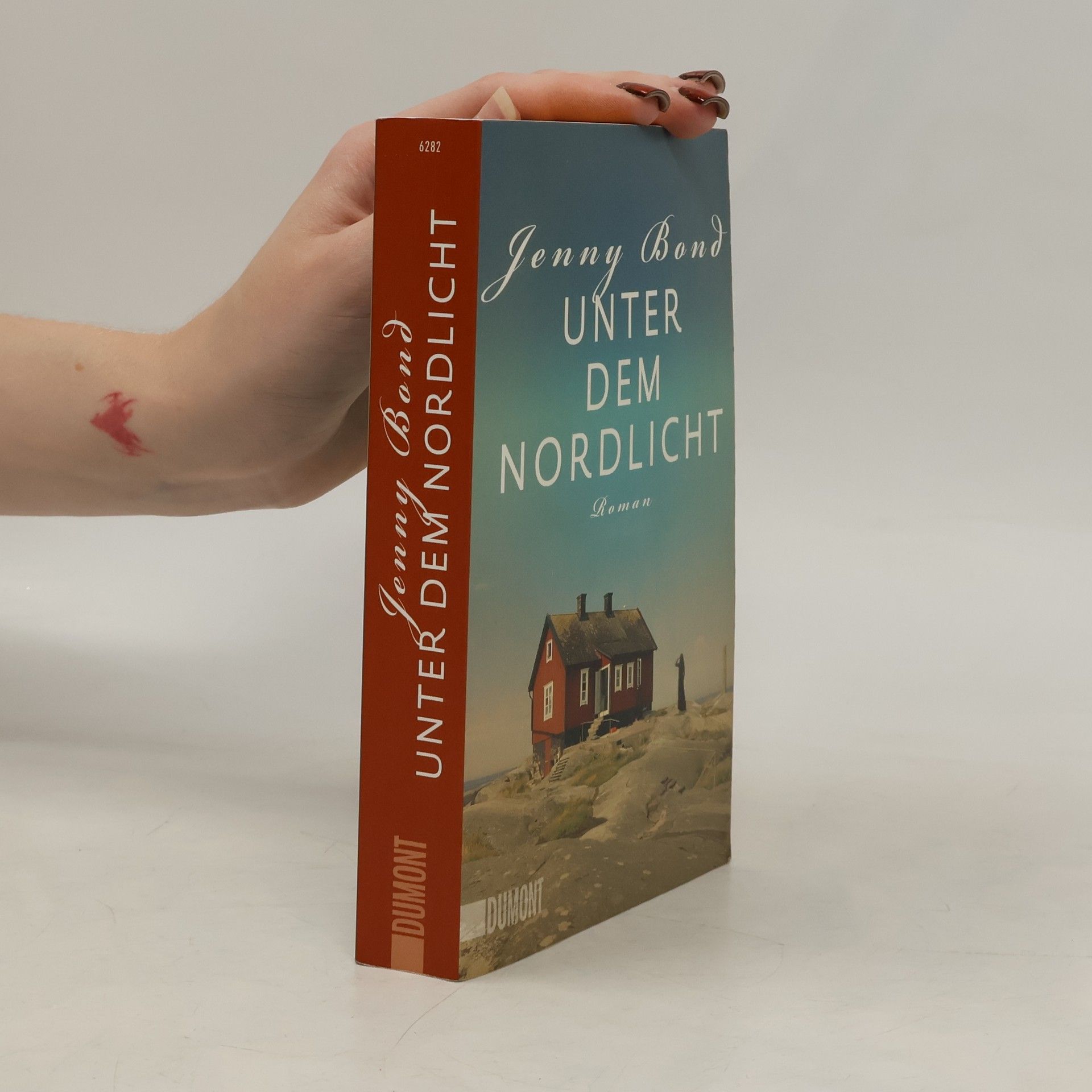 Jenny Bond Unter dem Nordlicht